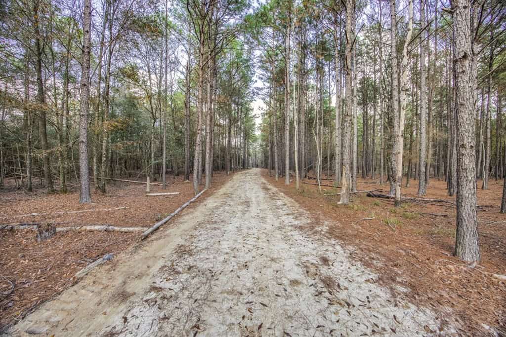 High Fence Hunting, 3 Lodges, 6 Cabins, Acadia Parish, LA