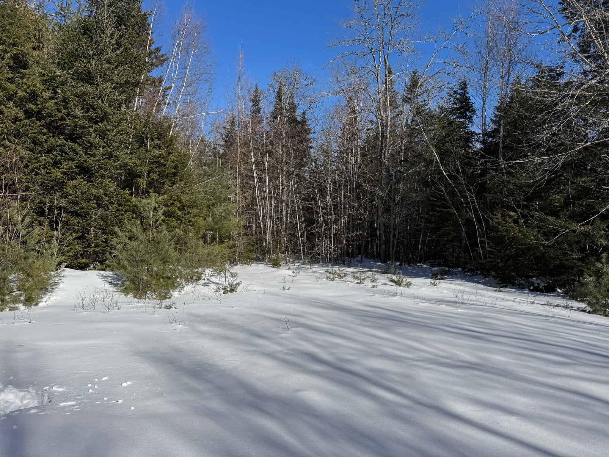 32 Acres with Off-Grid Cabin