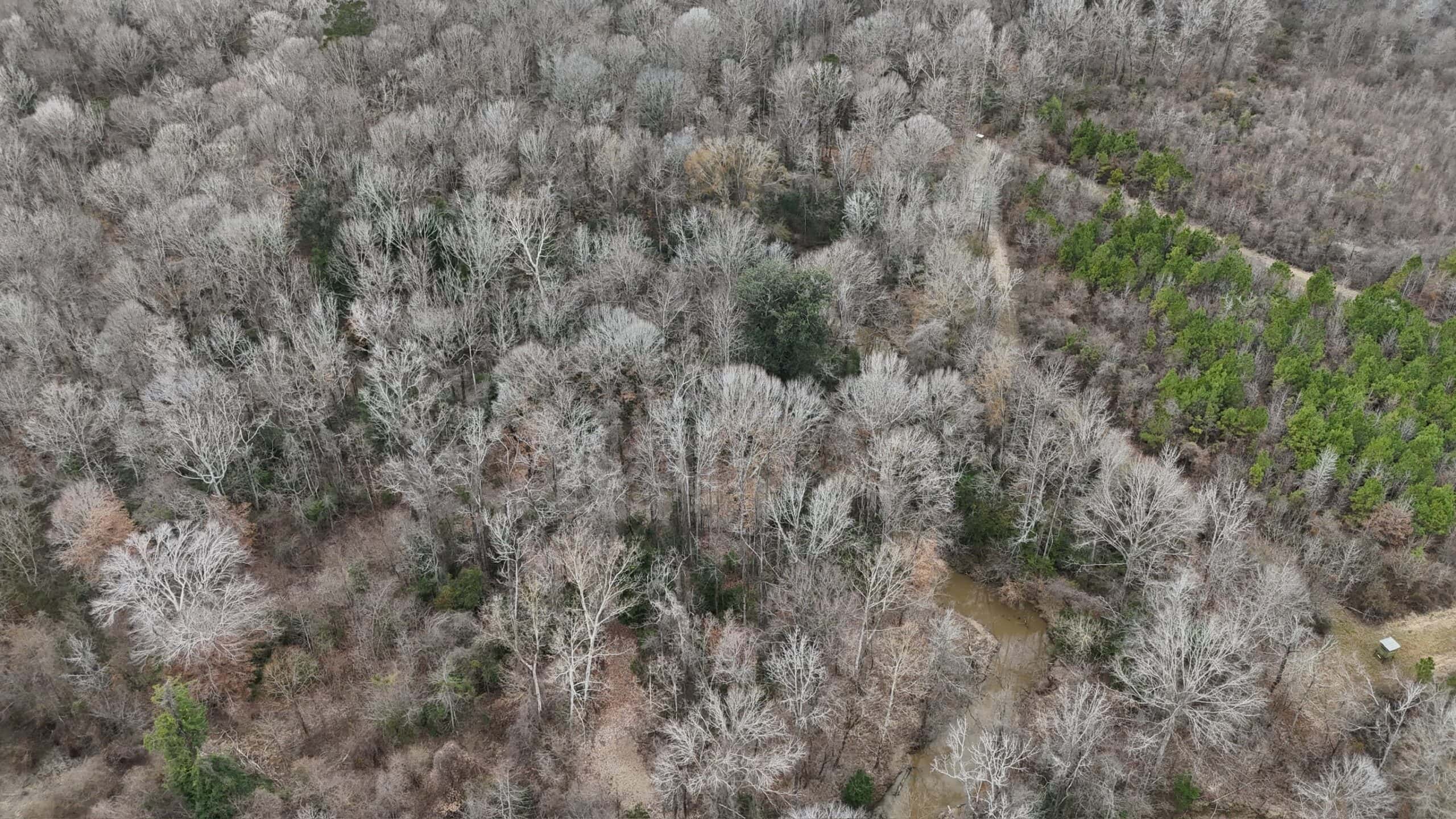 Hunting Property with a Camp and a Great Homesite