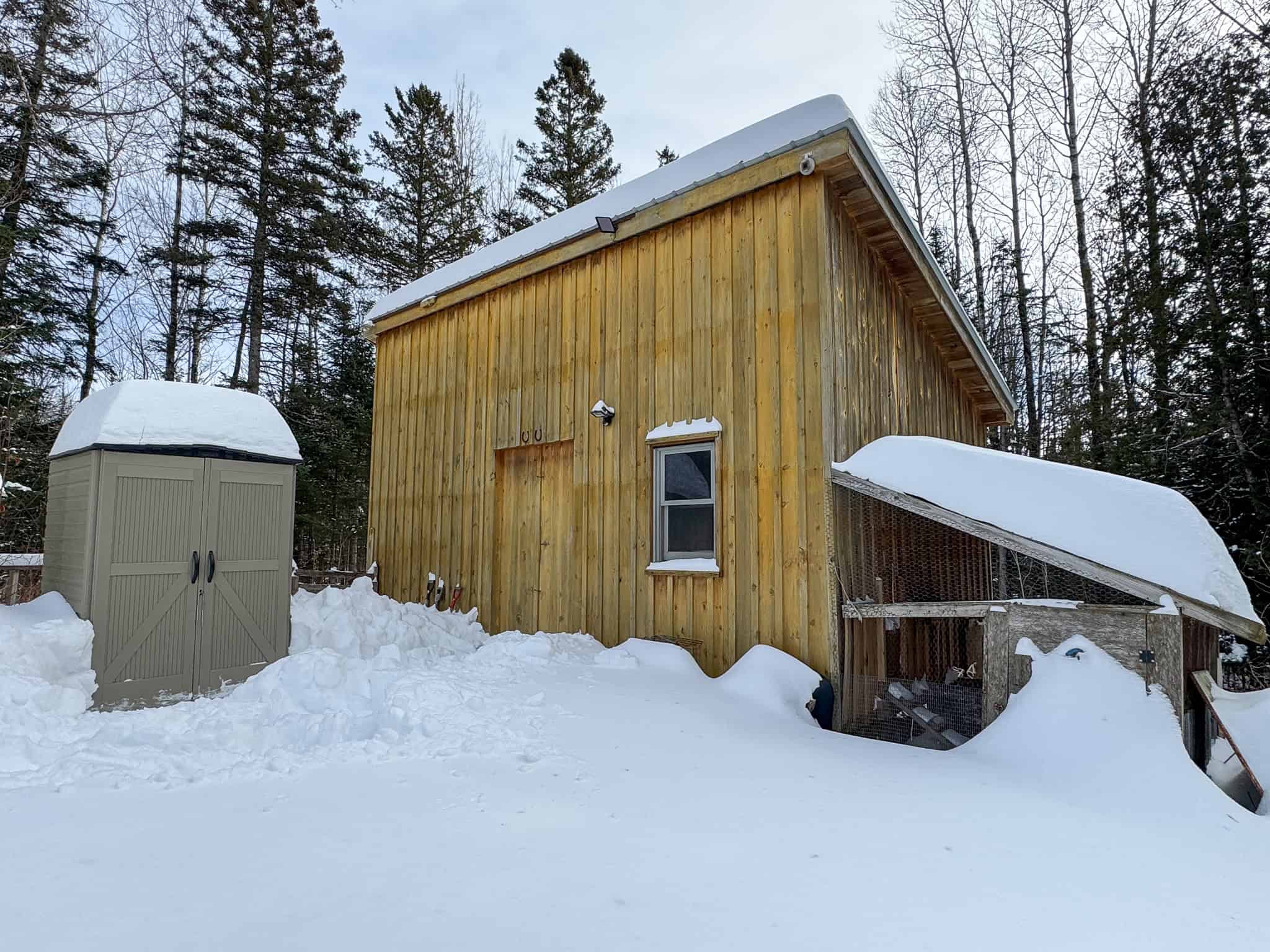 Log Cabin 40 Acres with Trout Stream