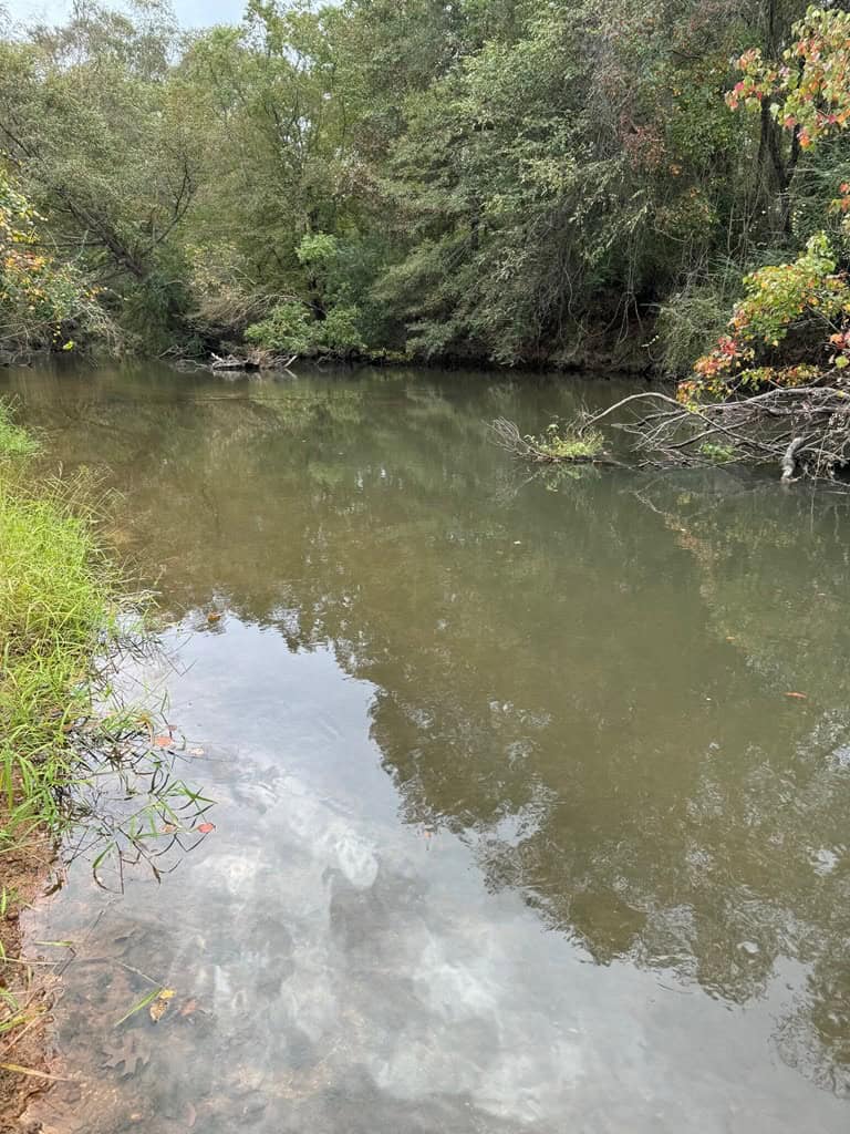 Land on the Tangipahoa River in Pike County, MS