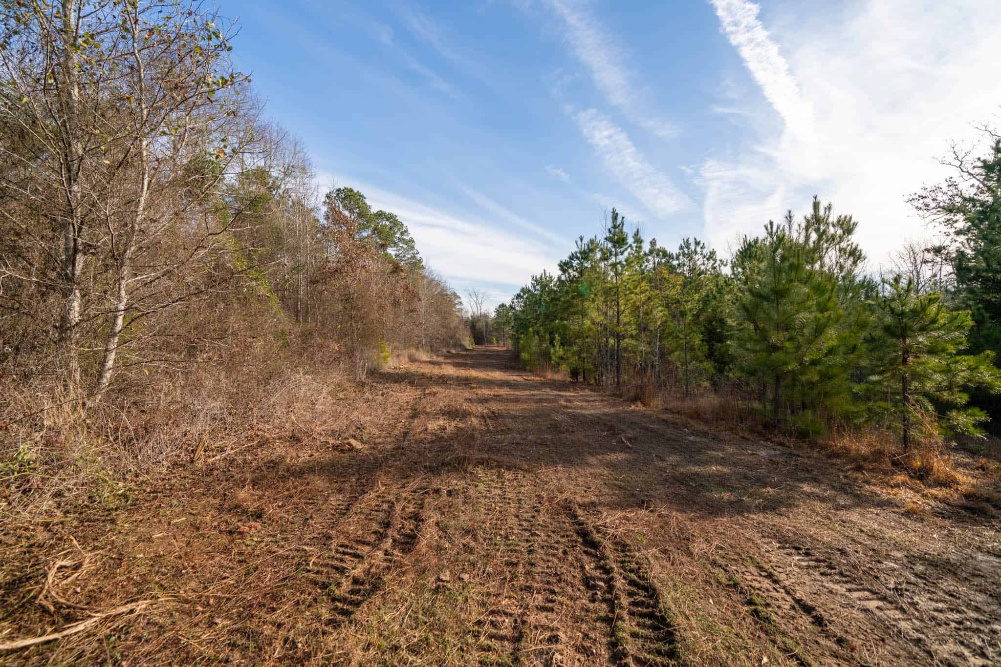 Harrison County, TX Whitetail Paradise
