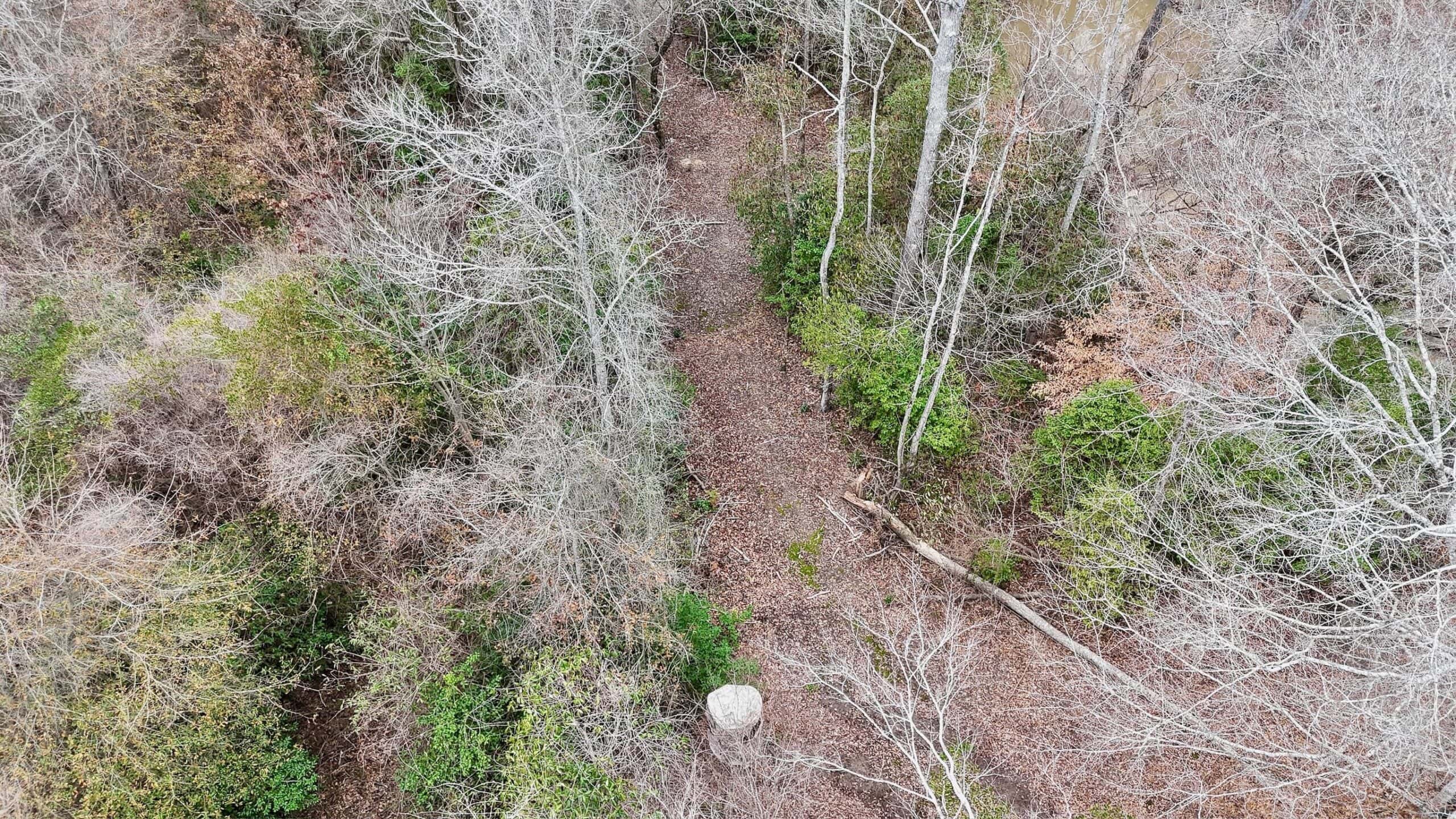 Hunting Property with a Camp and a Great Homesite