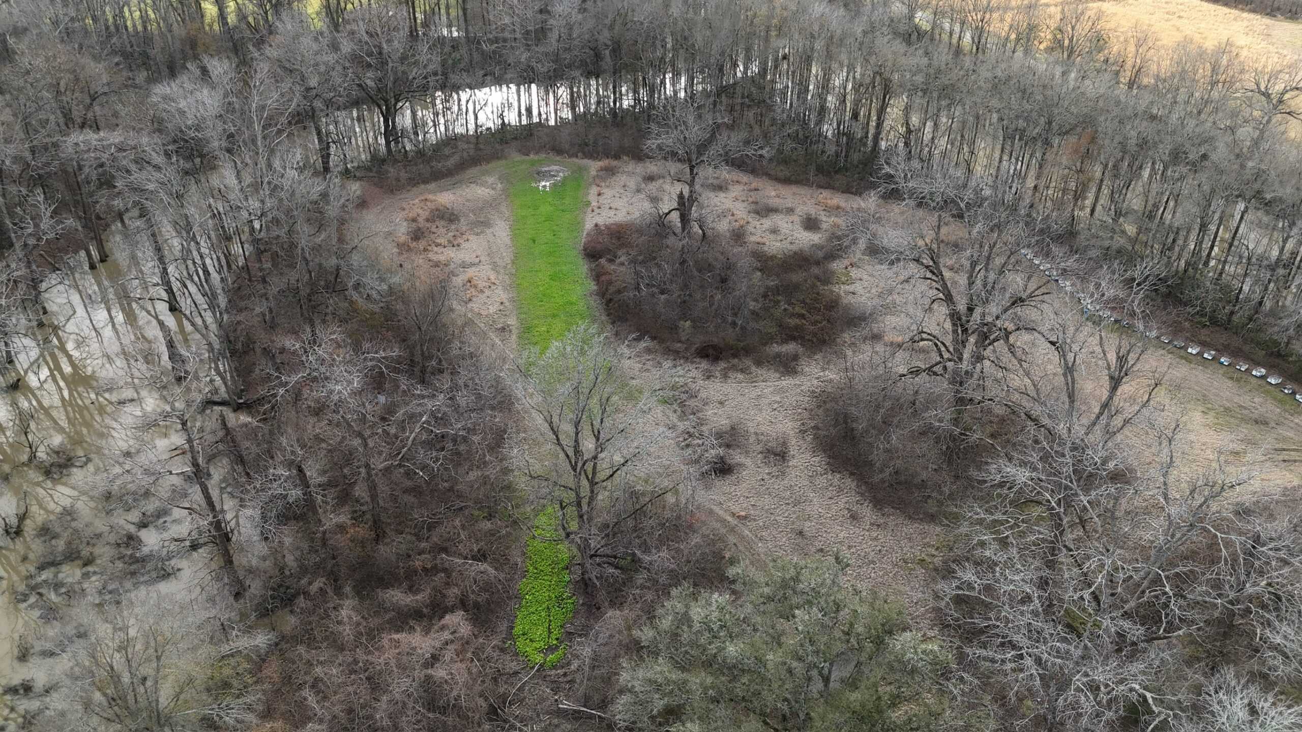 LA Delta Duck and Deer Hunting Property with a Camp