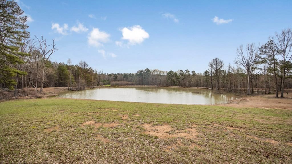 70 Acres Hunting Land Bordering Homochitto National Forest