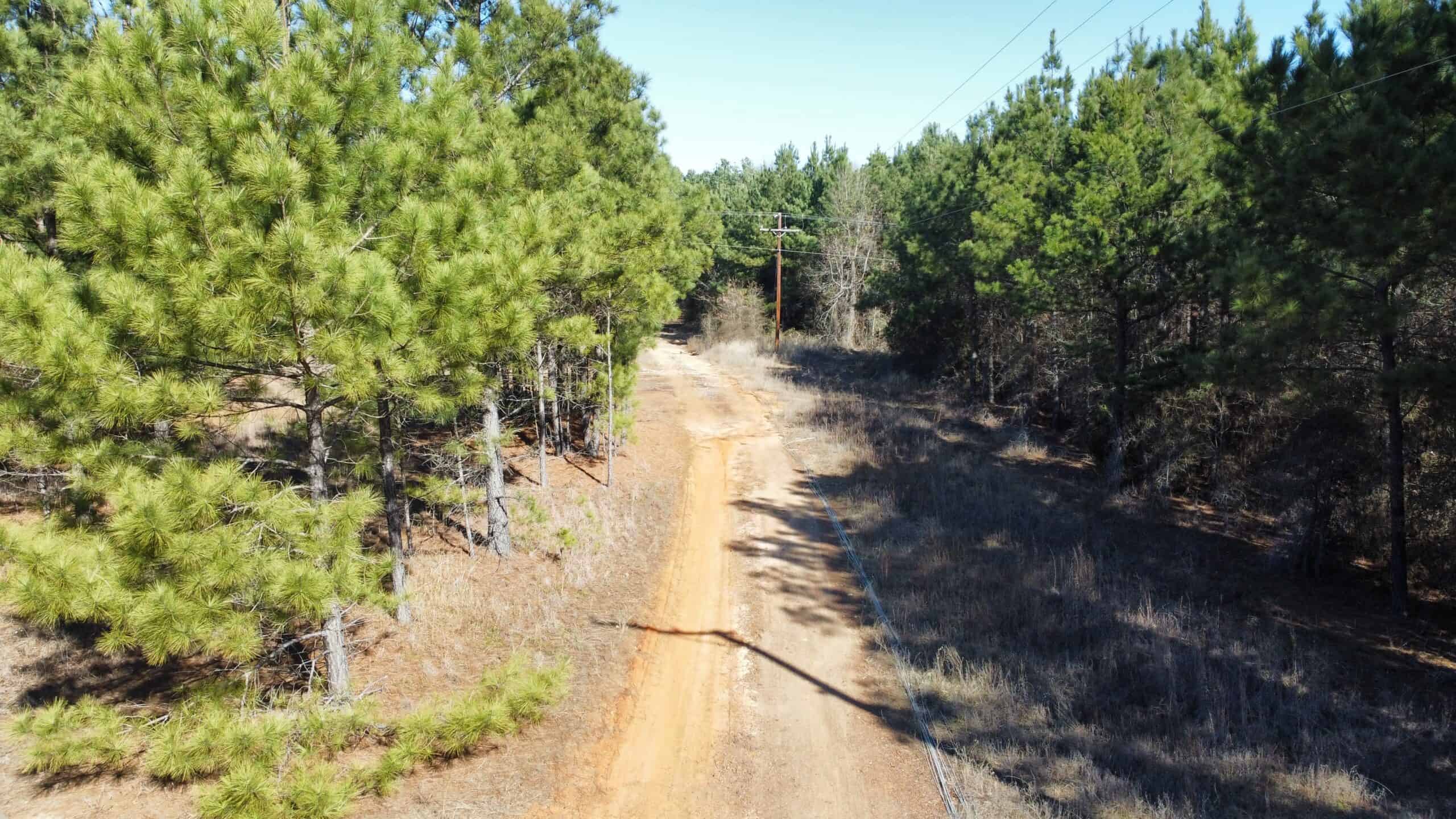 East TX Hunting Land Near Overton TX Rusk County