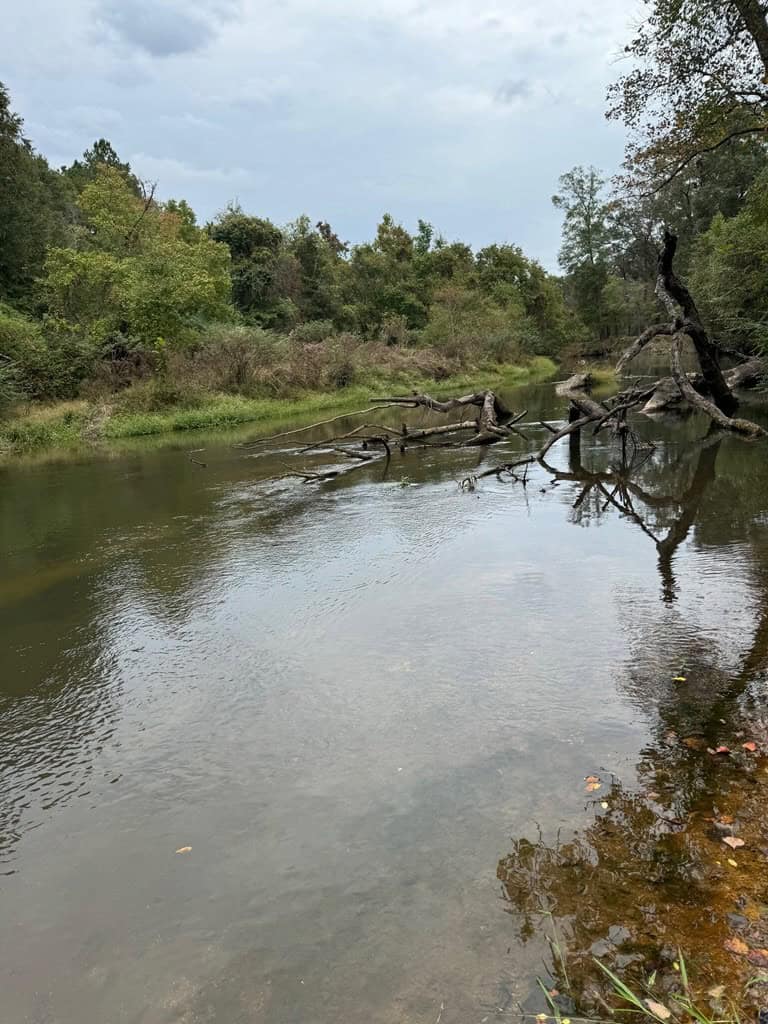 Land on the Tangipahoa River in Pike County, MS