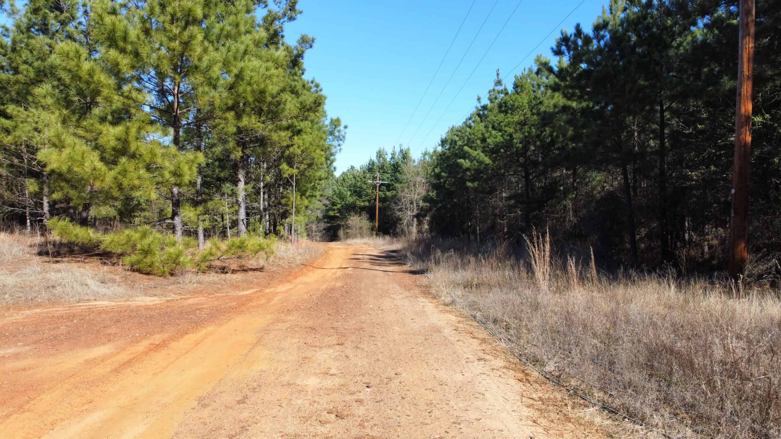 East TX Hunting Land Near Overton TX Rusk County