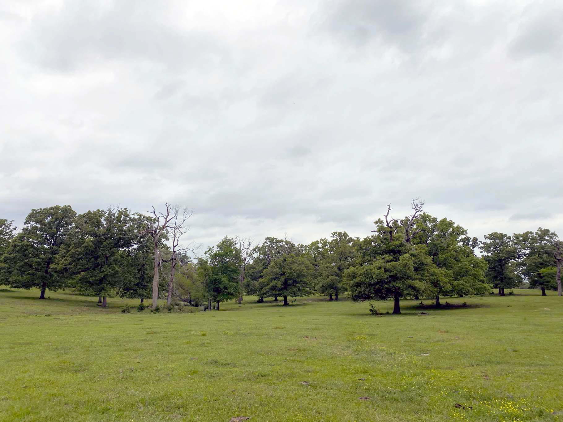 Lindale Texas Recreational Ranch Land for Sale East of Dallas