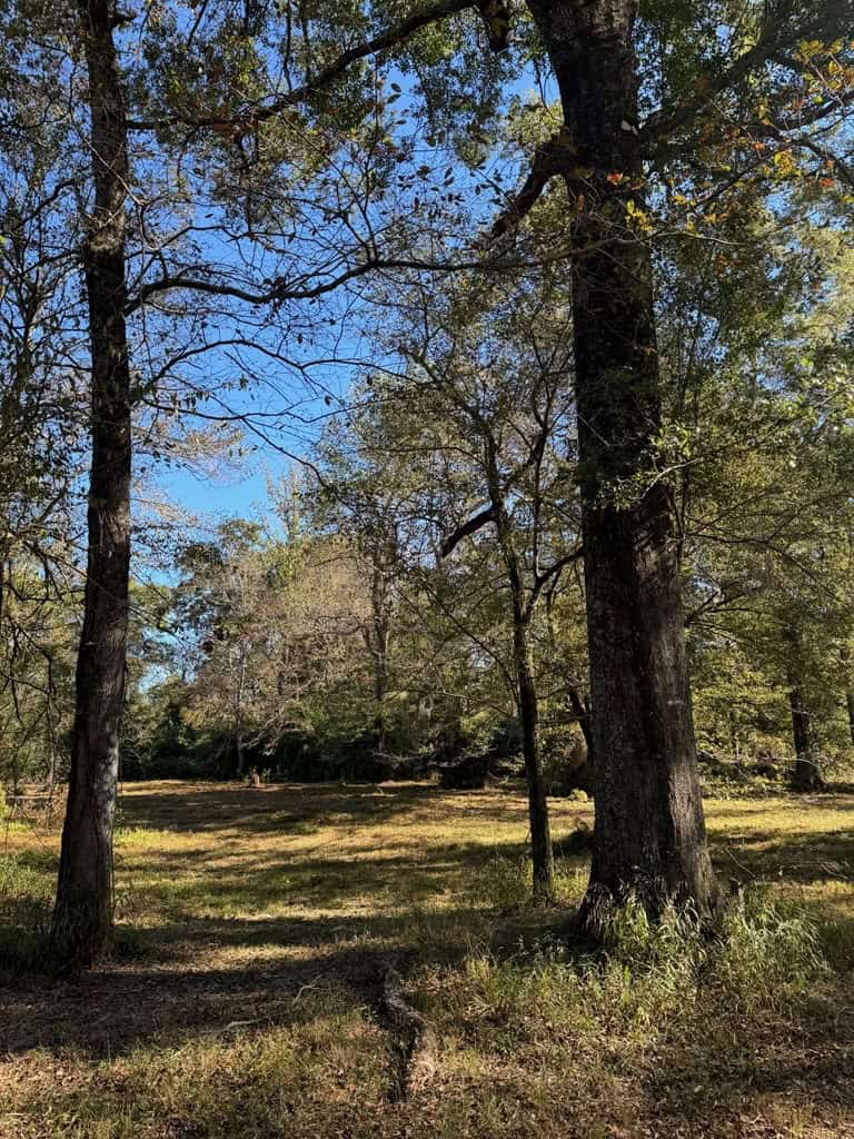 Land on the Tangipahoa River in Pike County, MS