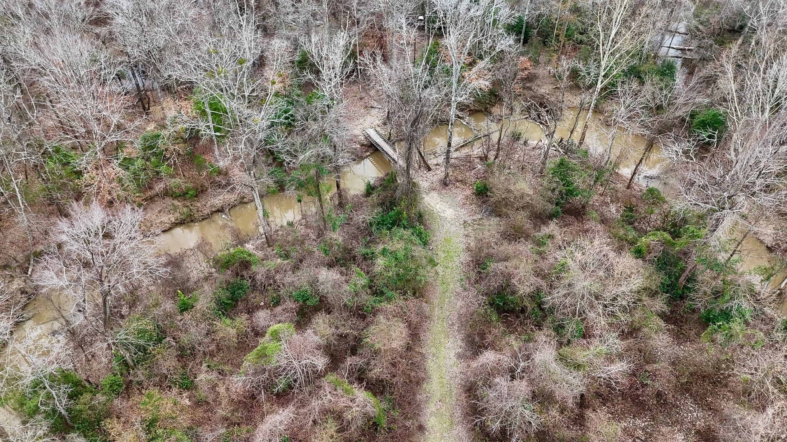 Hunting Property with a Camp and a Great Homesite