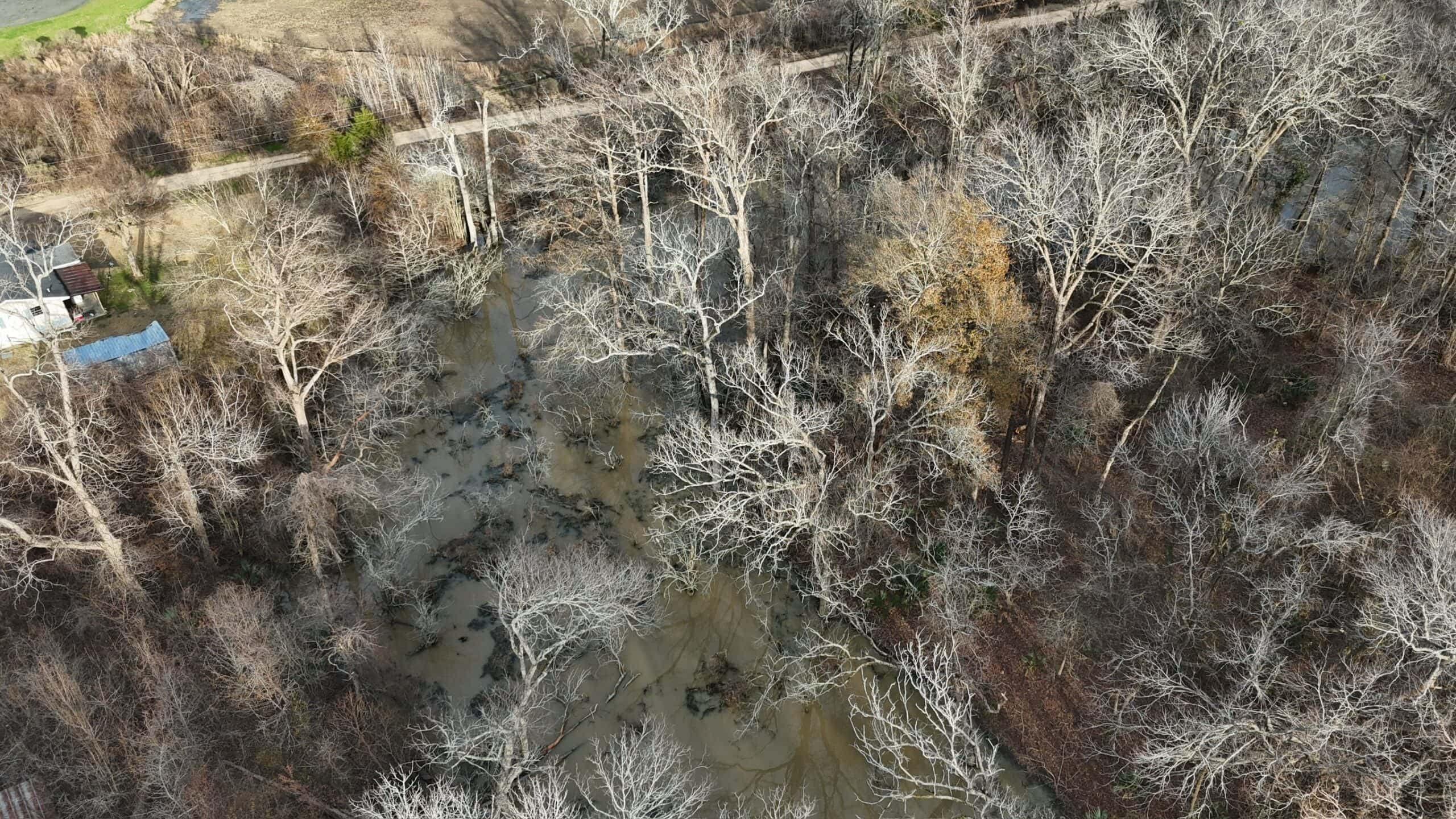 LA Delta Duck and Deer Hunting Property with a Camp