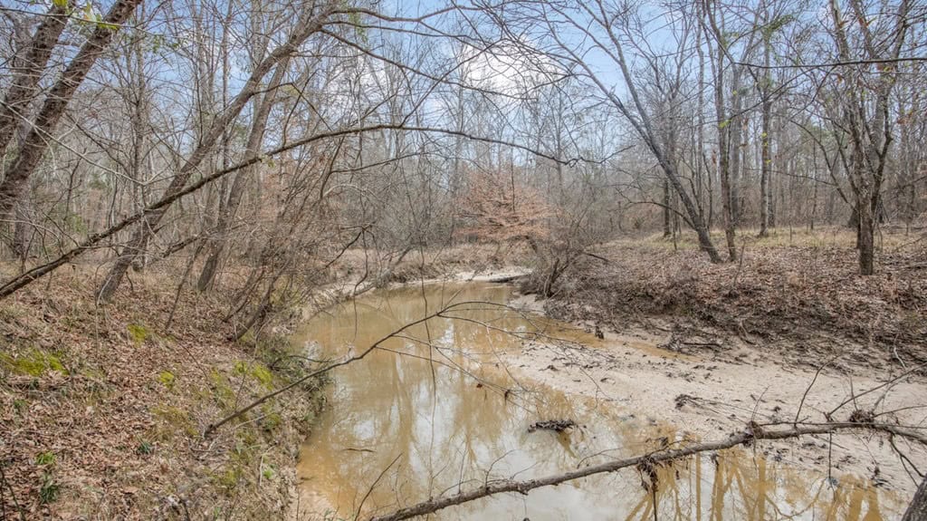 70 Acres Hunting Land Bordering Homochitto National Forest