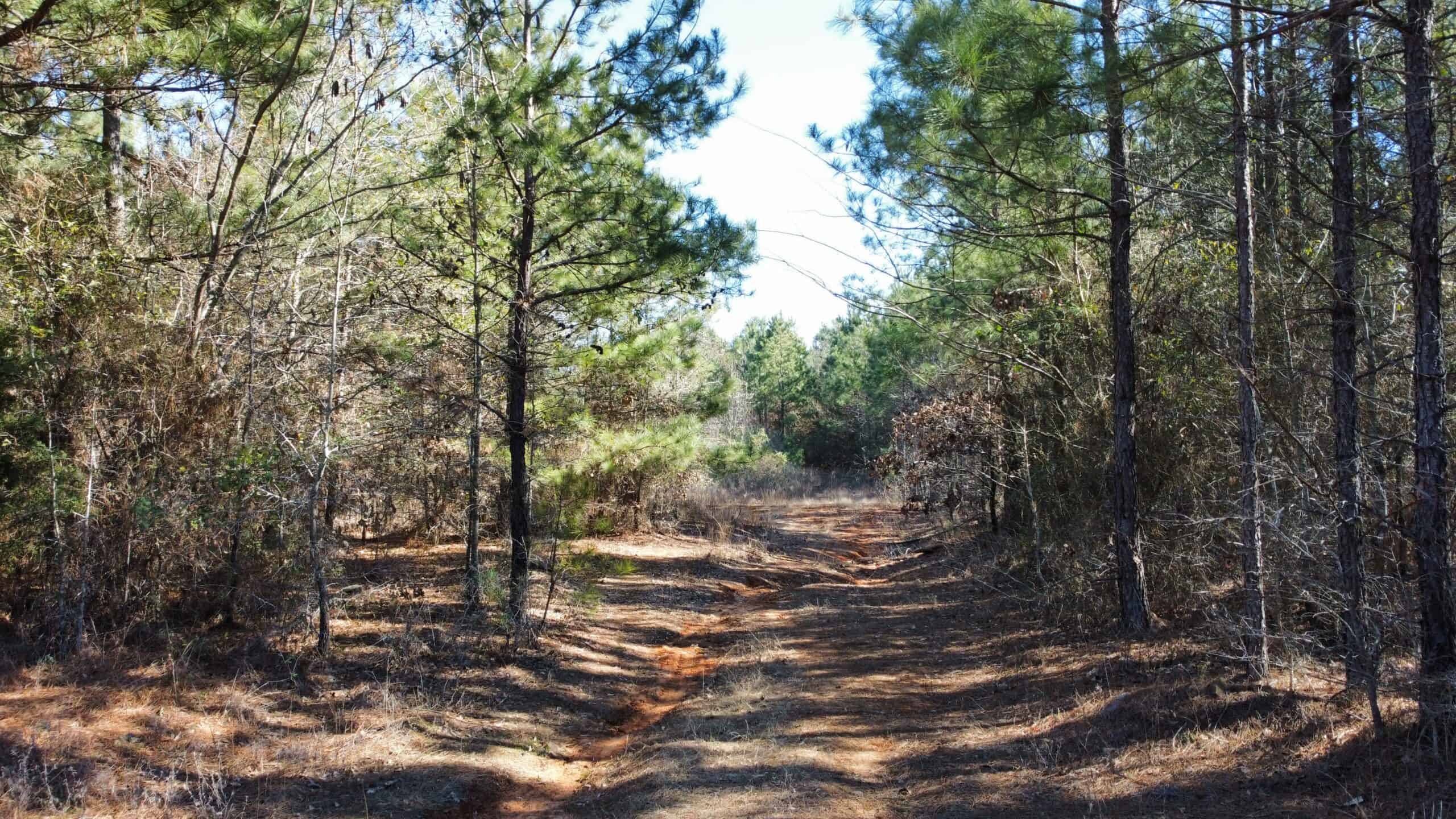 East TX Hunting Land Near Overton TX Rusk County