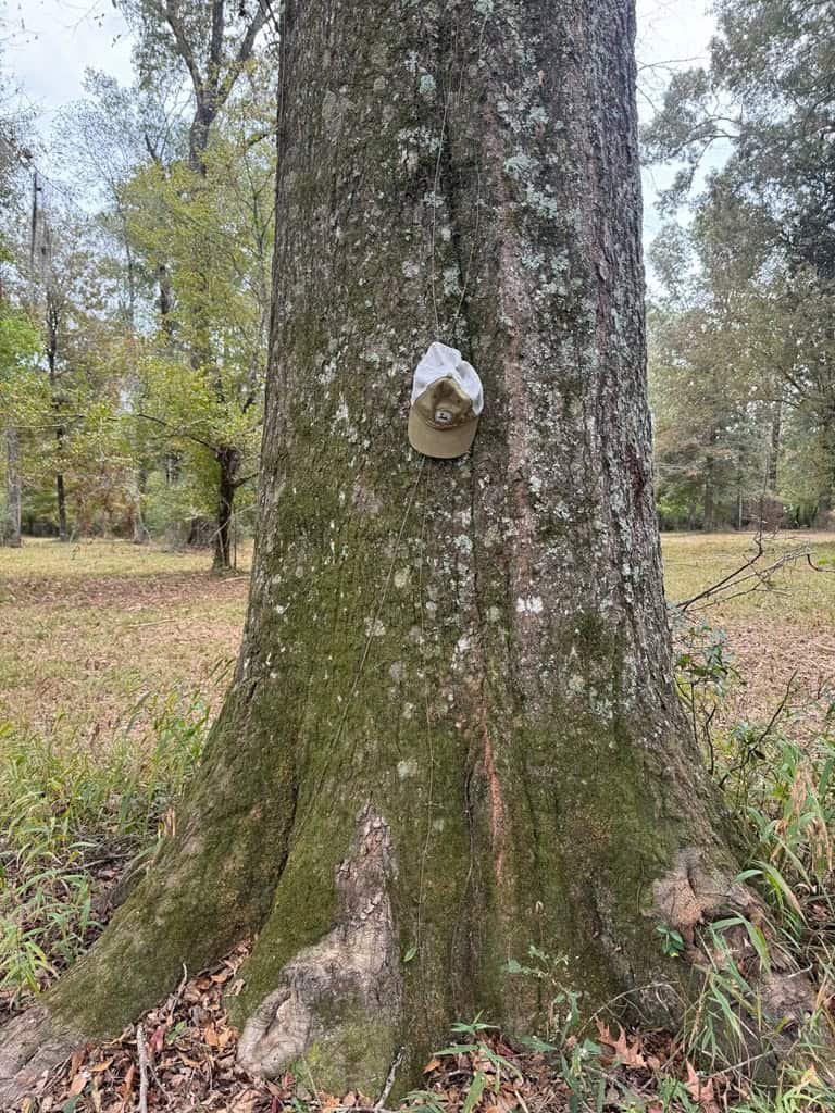 Land on the Tangipahoa River in Pike County, MS