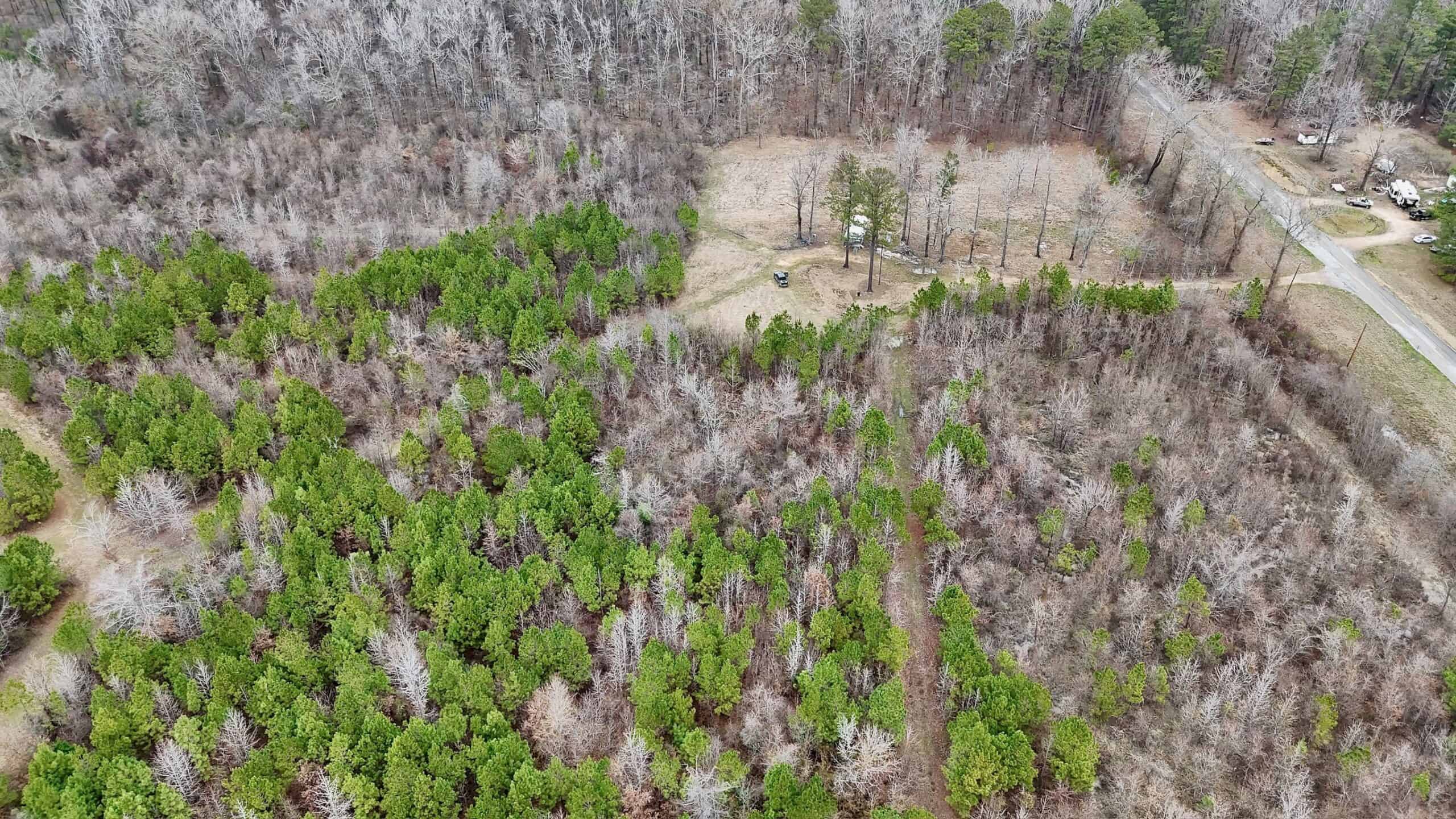 Hunting Property with a Camp and a Great Homesite