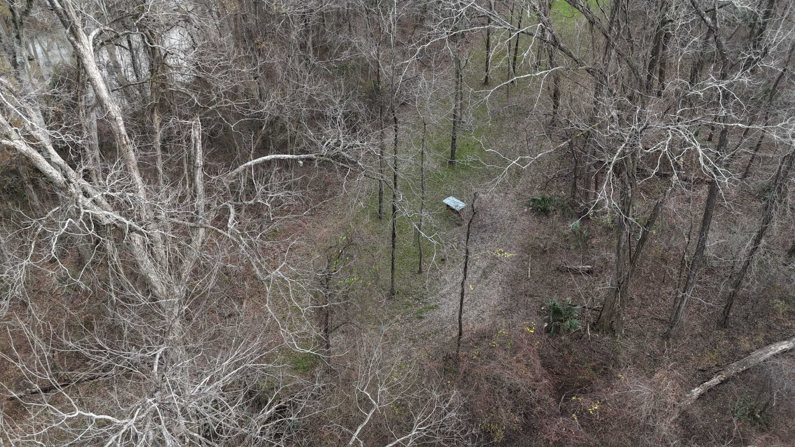 LA Delta Duck and Deer Hunting Property with a Camp