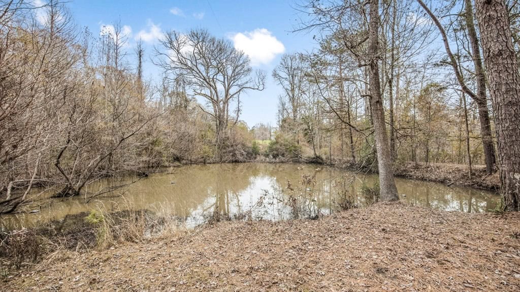 50 Acres TurnKey Hunting Camp SW Wilkinson County, MS