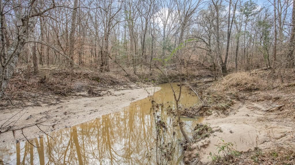 70 Acres Hunting Land Bordering Homochitto National Forest