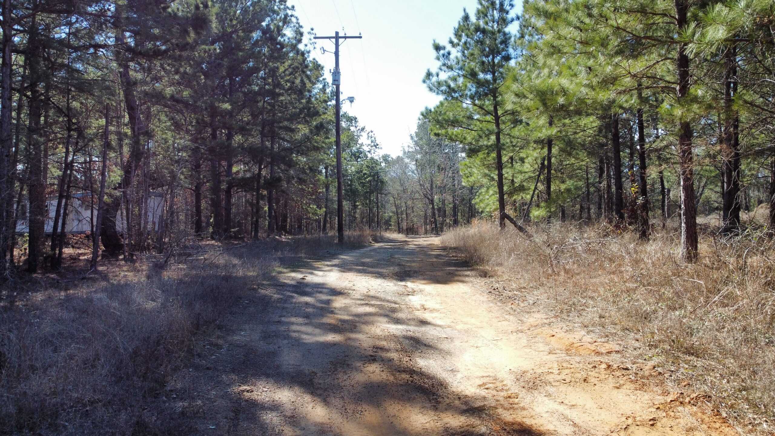 East TX Hunting Land Near Overton TX Rusk County