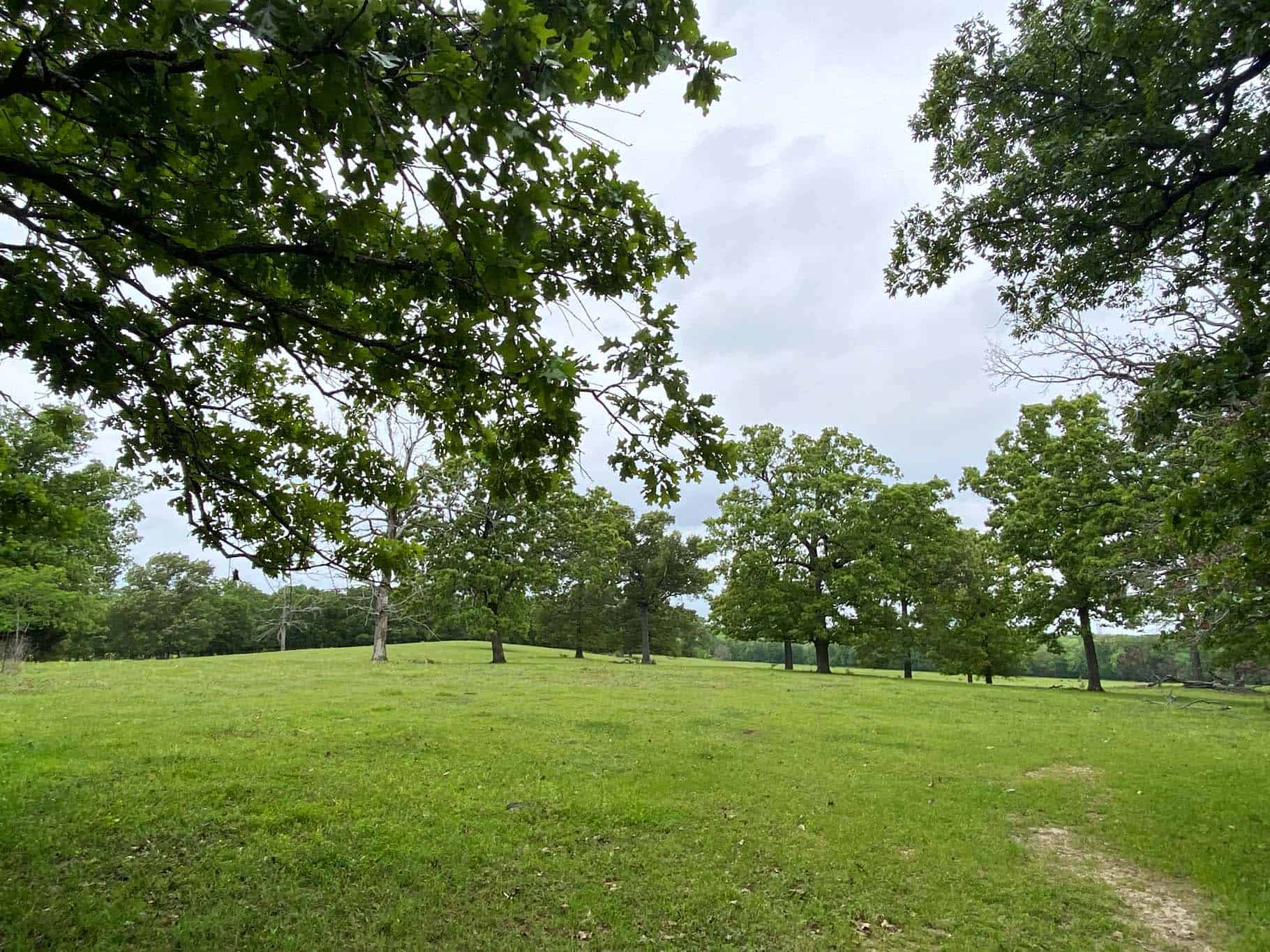 Lindale Texas Recreational Ranch Land for Sale East of Dallas
