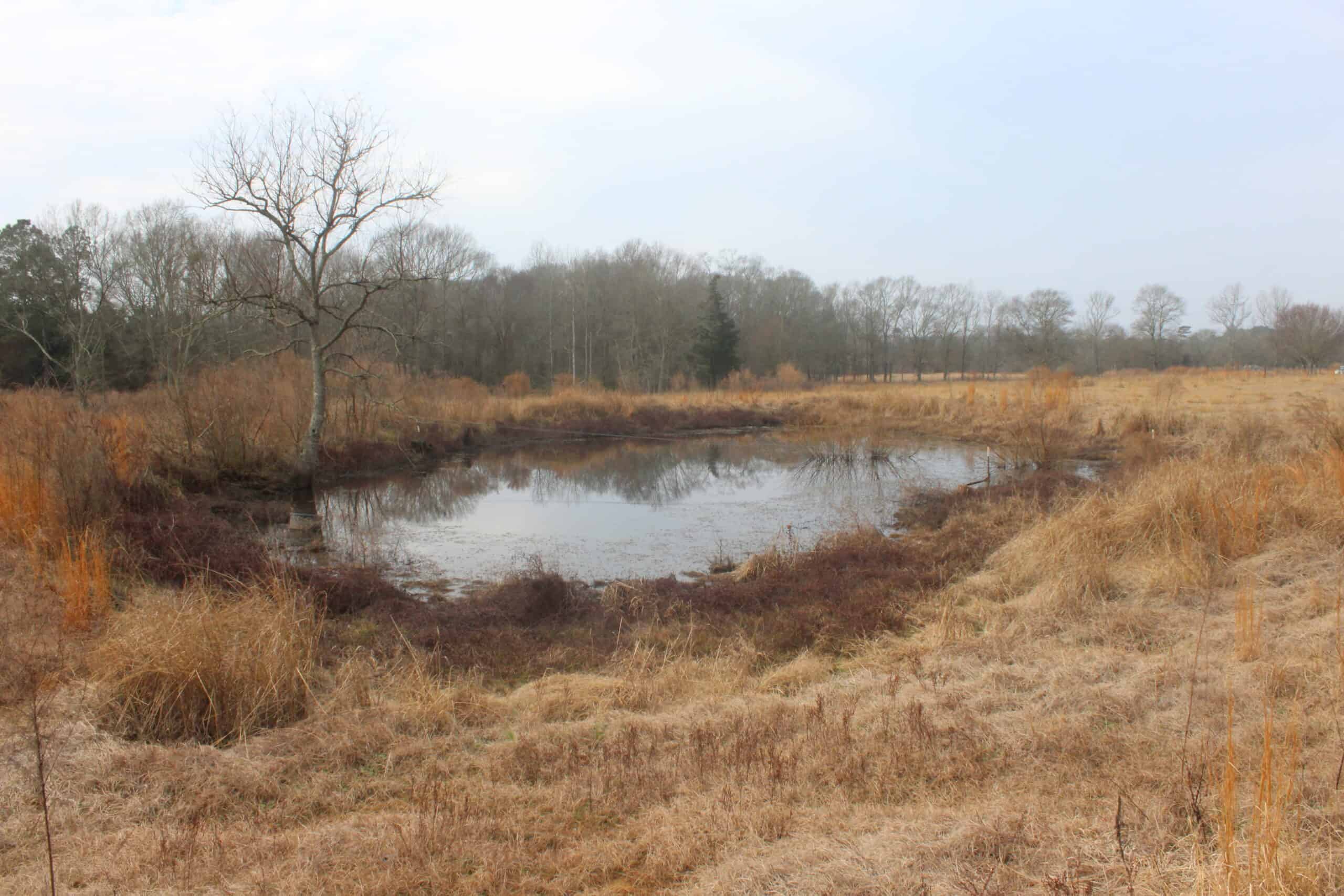 15-Acre Farm with Pond & Creek Frontage in Southeast Lincoln County, Mississippi
