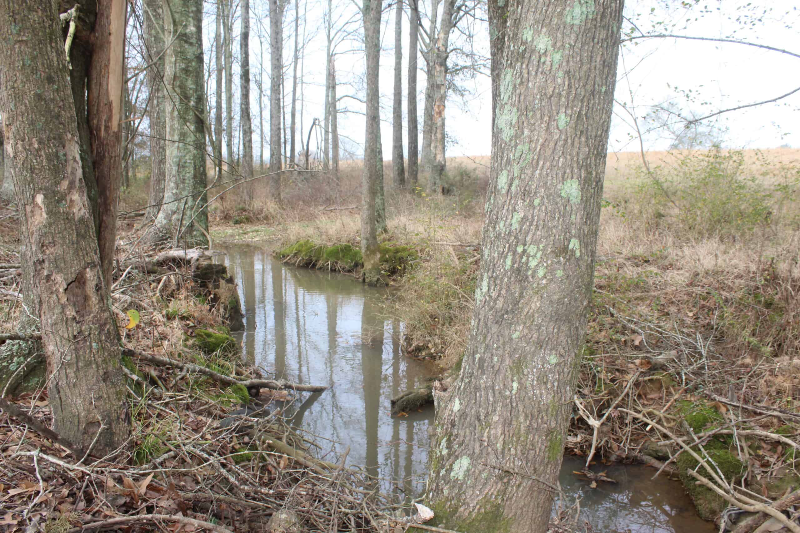 15-Acre Farm with Pond & Creek Frontage in Southeast Lincoln County, Mississippi