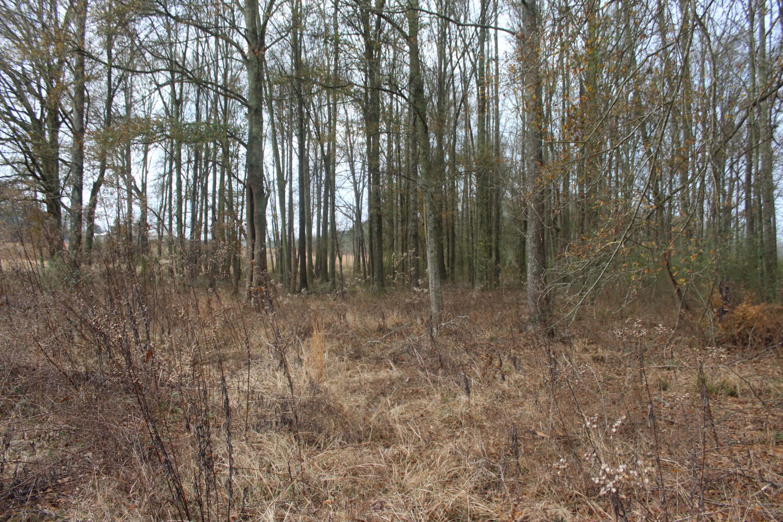 15-Acre Farm with Pond & Creek Frontage in Southeast Lincoln County, Mississippi