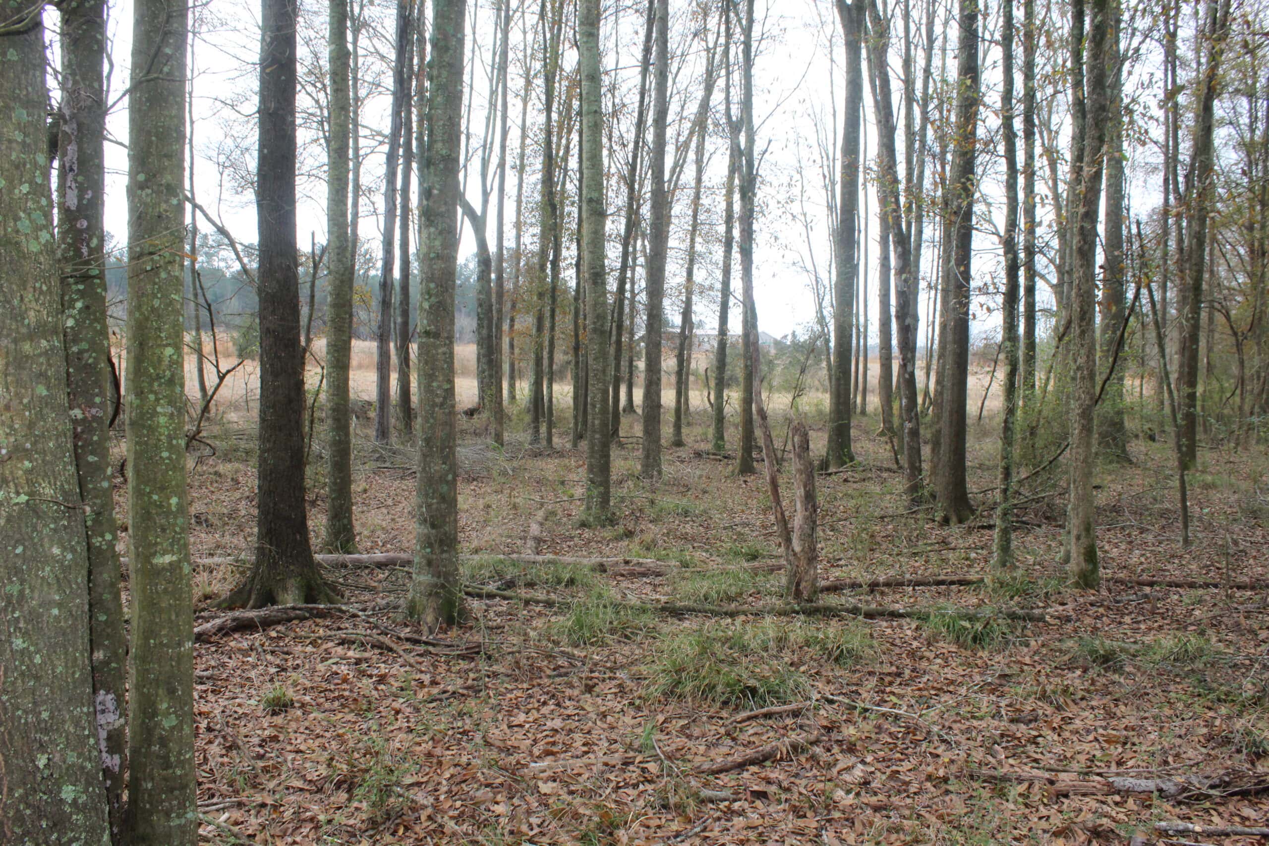 15-Acre Farm with Pond & Creek Frontage in Southeast Lincoln County, Mississippi