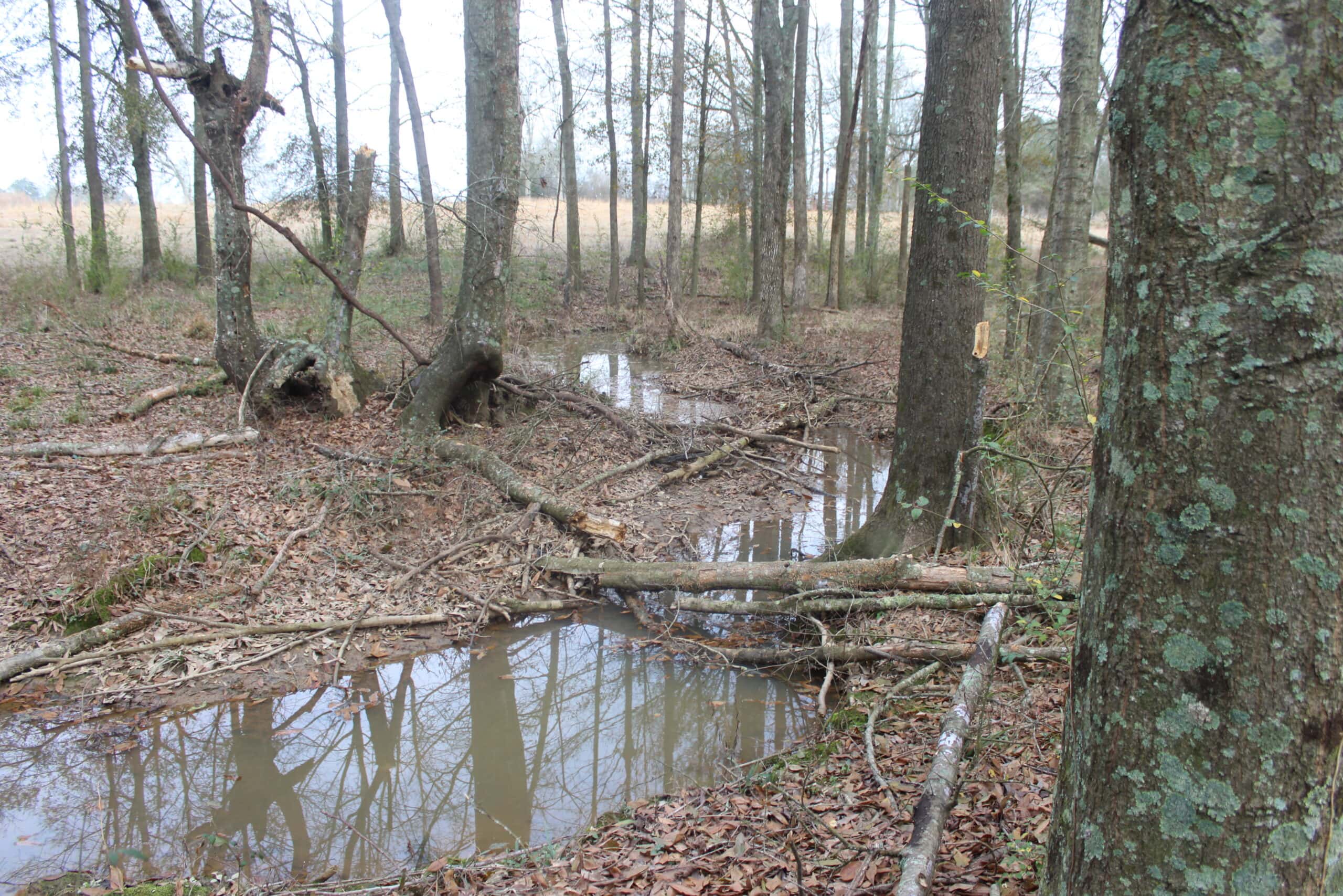 15-Acre Farm with Pond & Creek Frontage in Southeast Lincoln County, Mississippi