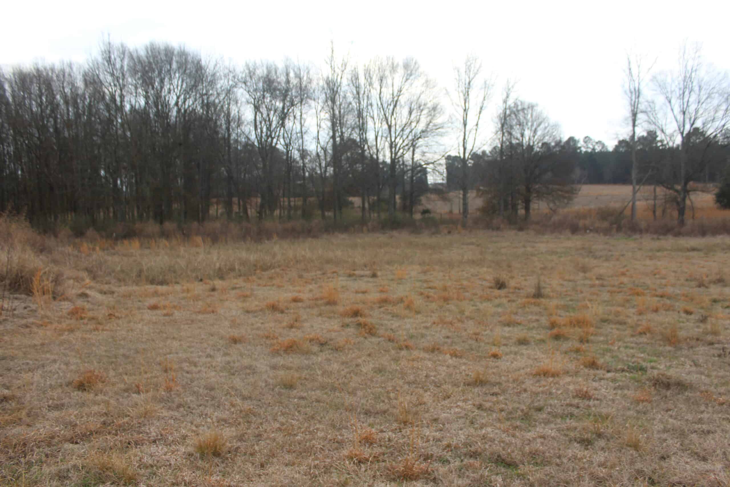 15-Acre Farm with Pond & Creek Frontage in Southeast Lincoln County, Mississippi