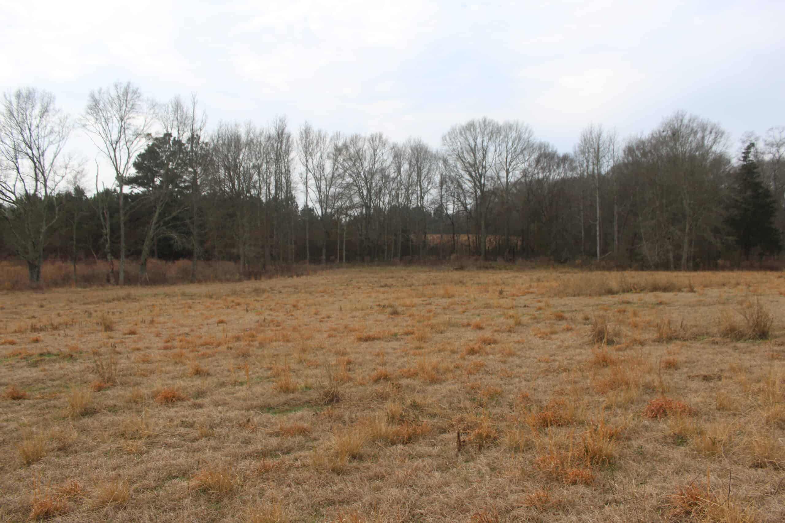15-Acre Farm with Pond & Creek Frontage in Southeast Lincoln County, Mississippi