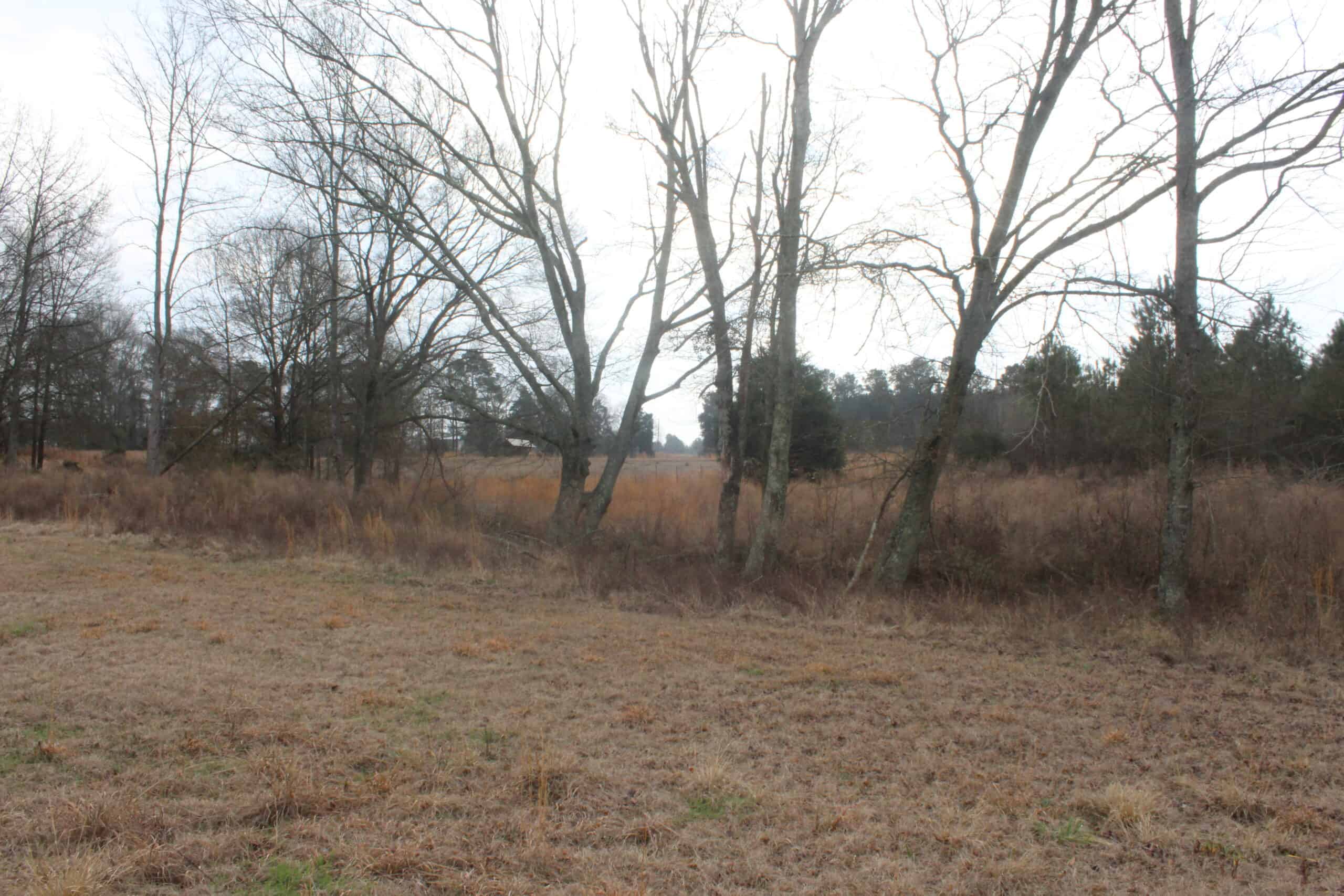15-Acre Farm with Pond & Creek Frontage in Southeast Lincoln County, Mississippi