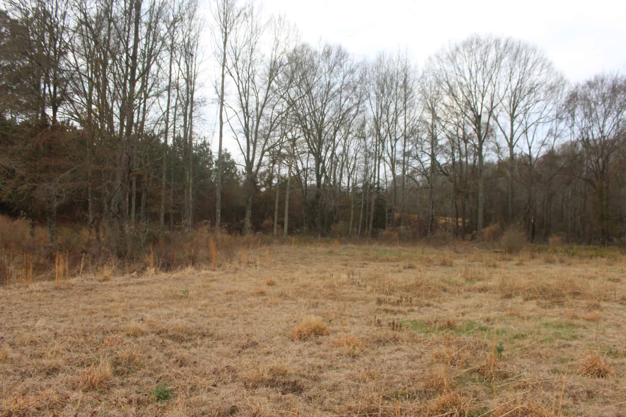 15-Acre Farm with Pond & Creek Frontage in Southeast Lincoln County, Mississippi