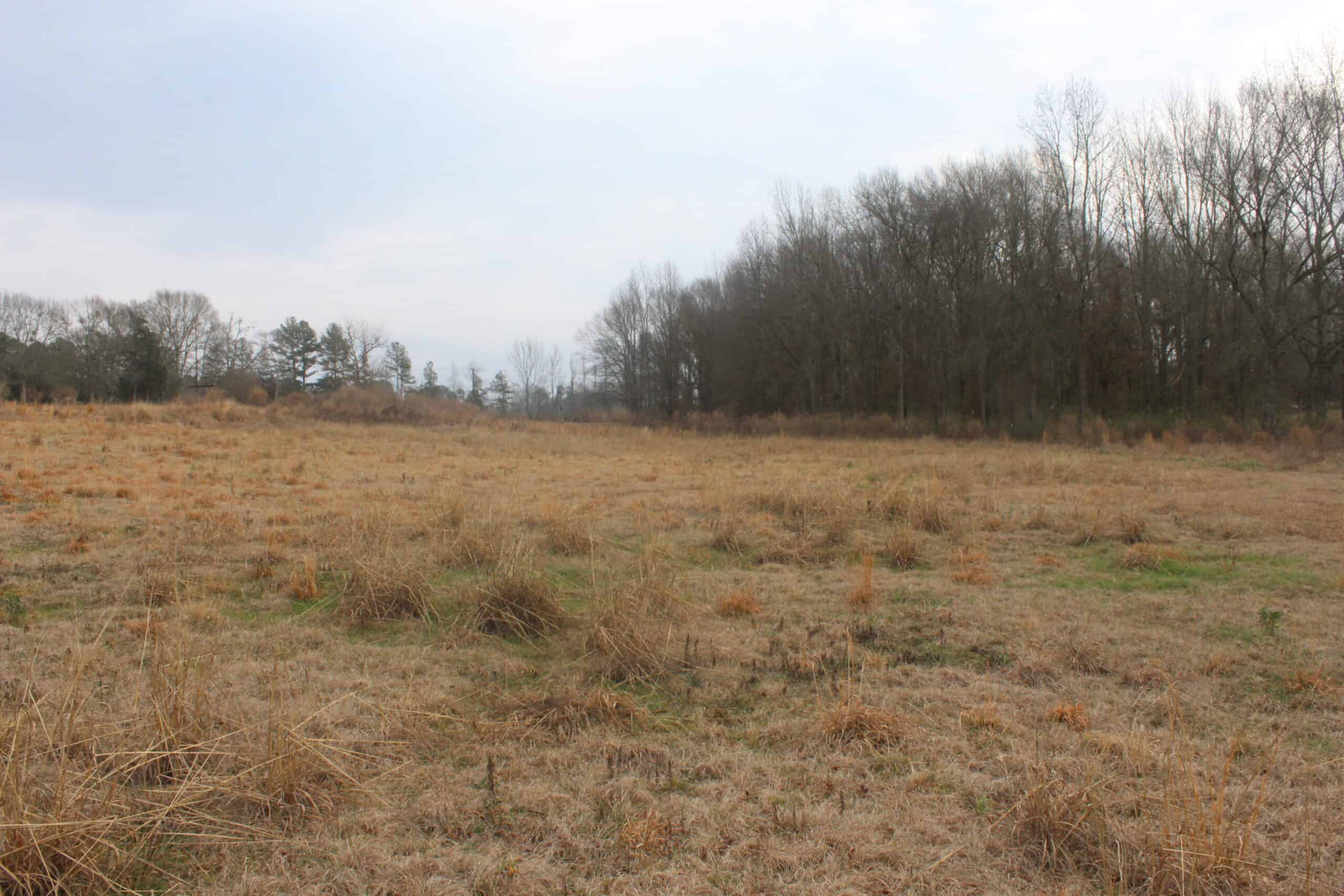 15-Acre Farm with Pond & Creek Frontage in Southeast Lincoln County, Mississippi