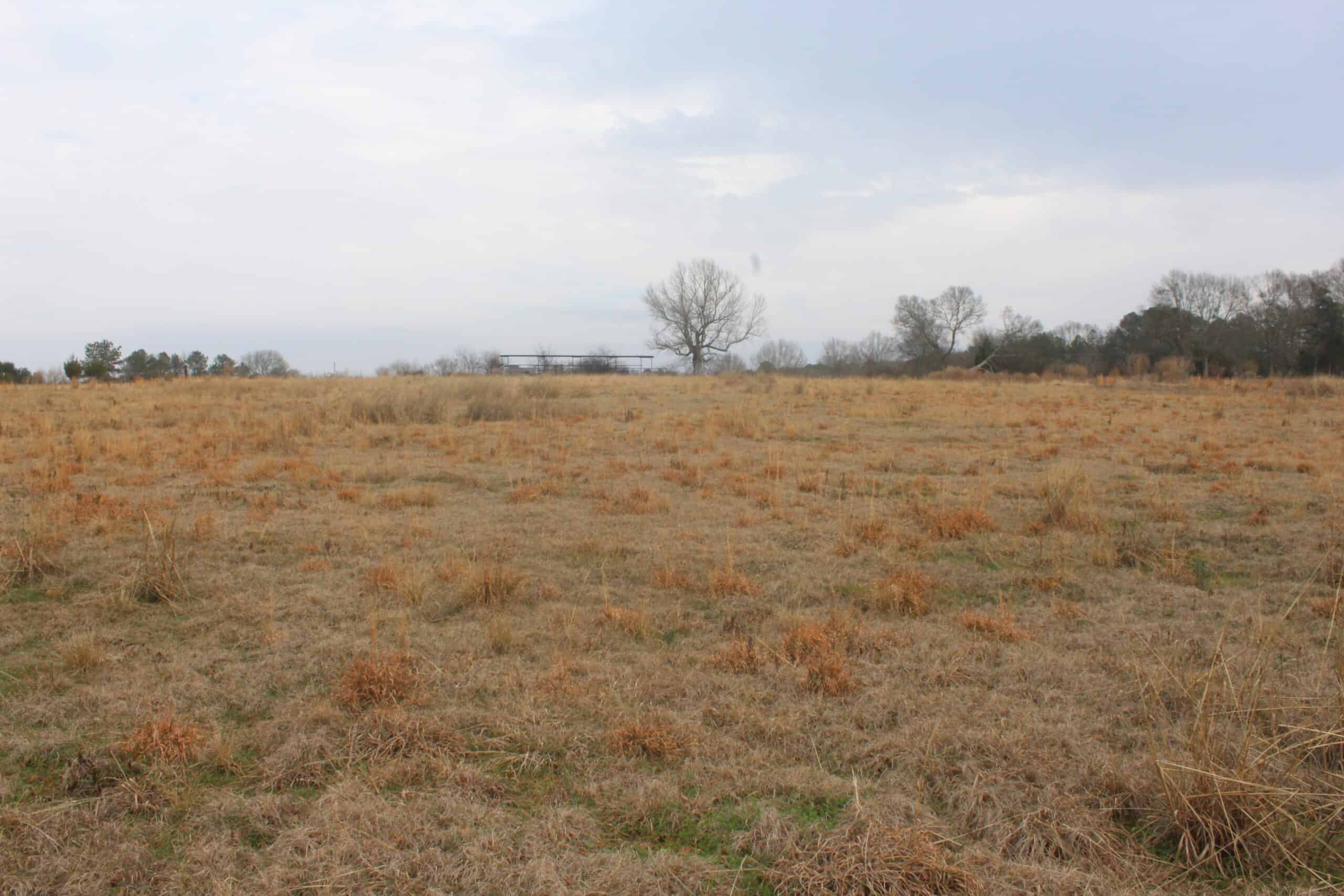 15-Acre Farm with Pond & Creek Frontage in Southeast Lincoln County, Mississippi