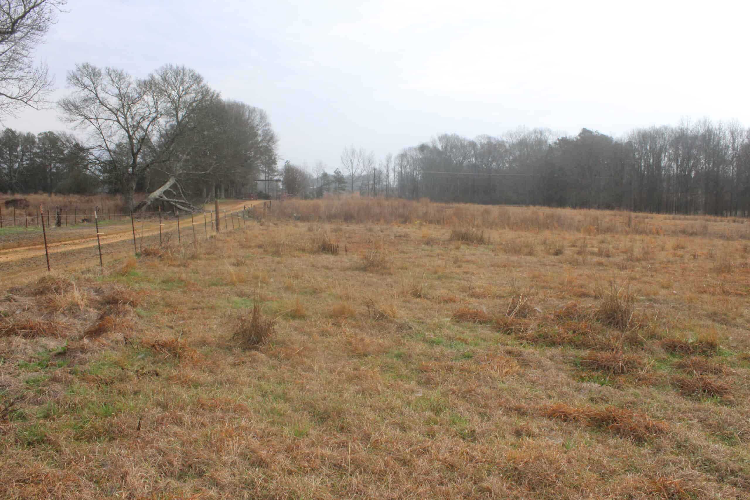 15-Acre Farm with Pond & Creek Frontage in Southeast Lincoln County, Mississippi