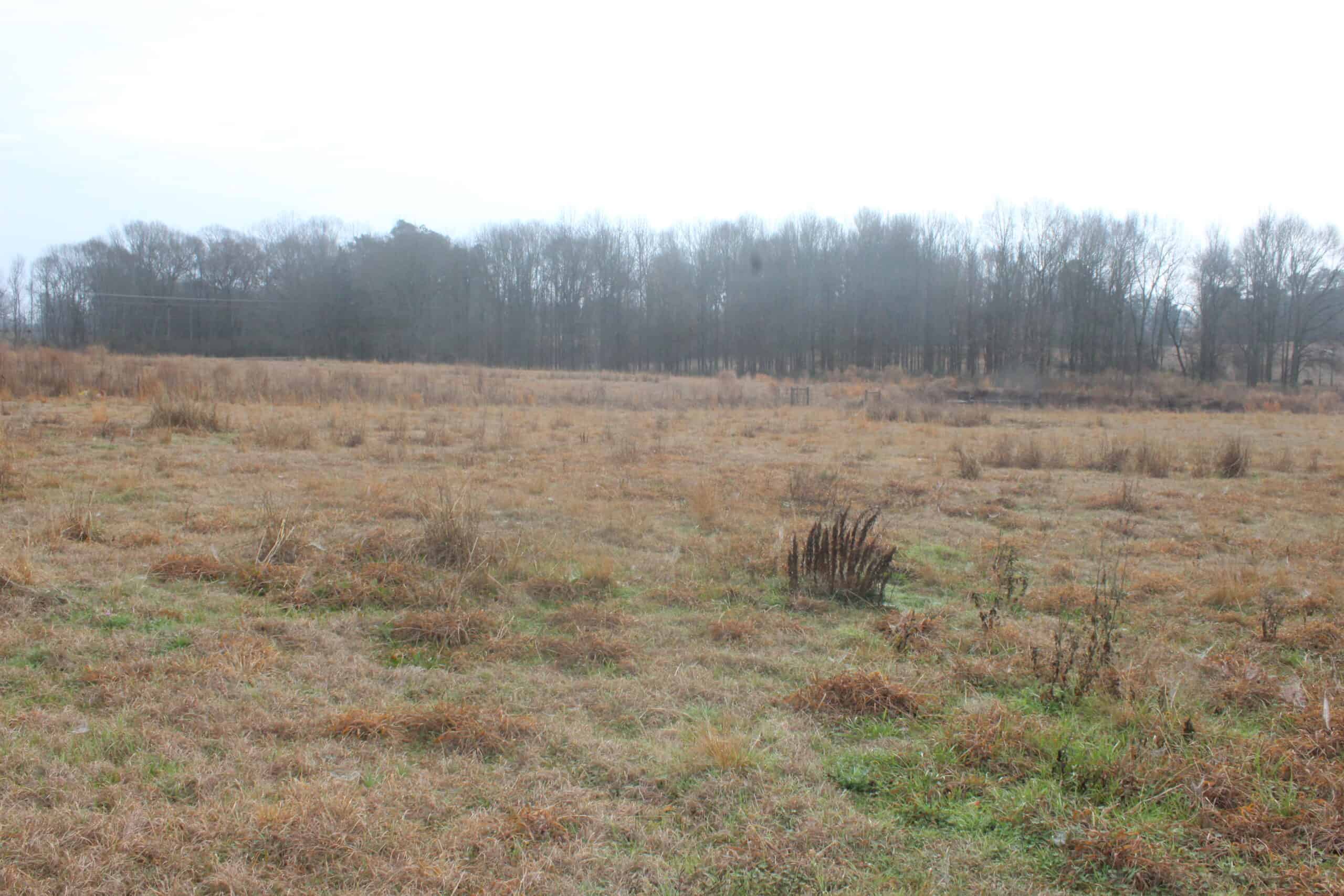 15-Acre Farm with Pond & Creek Frontage in Southeast Lincoln County, Mississippi