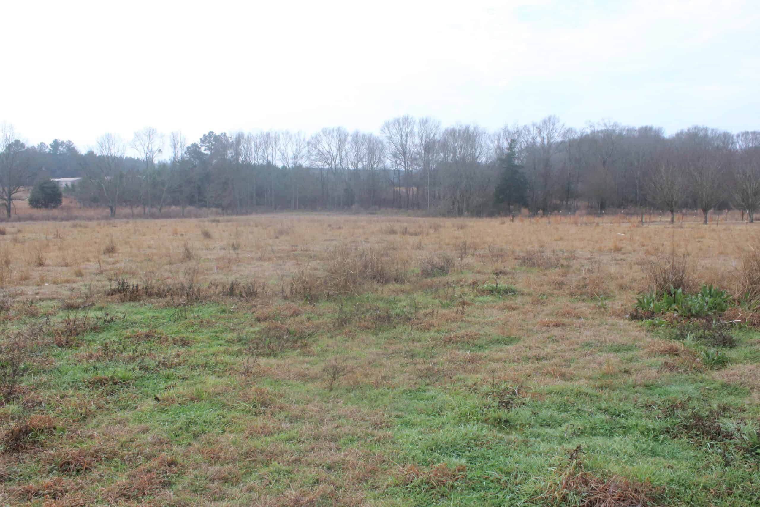 15-Acre Farm with Pond & Creek Frontage in Southeast Lincoln County, Mississippi
