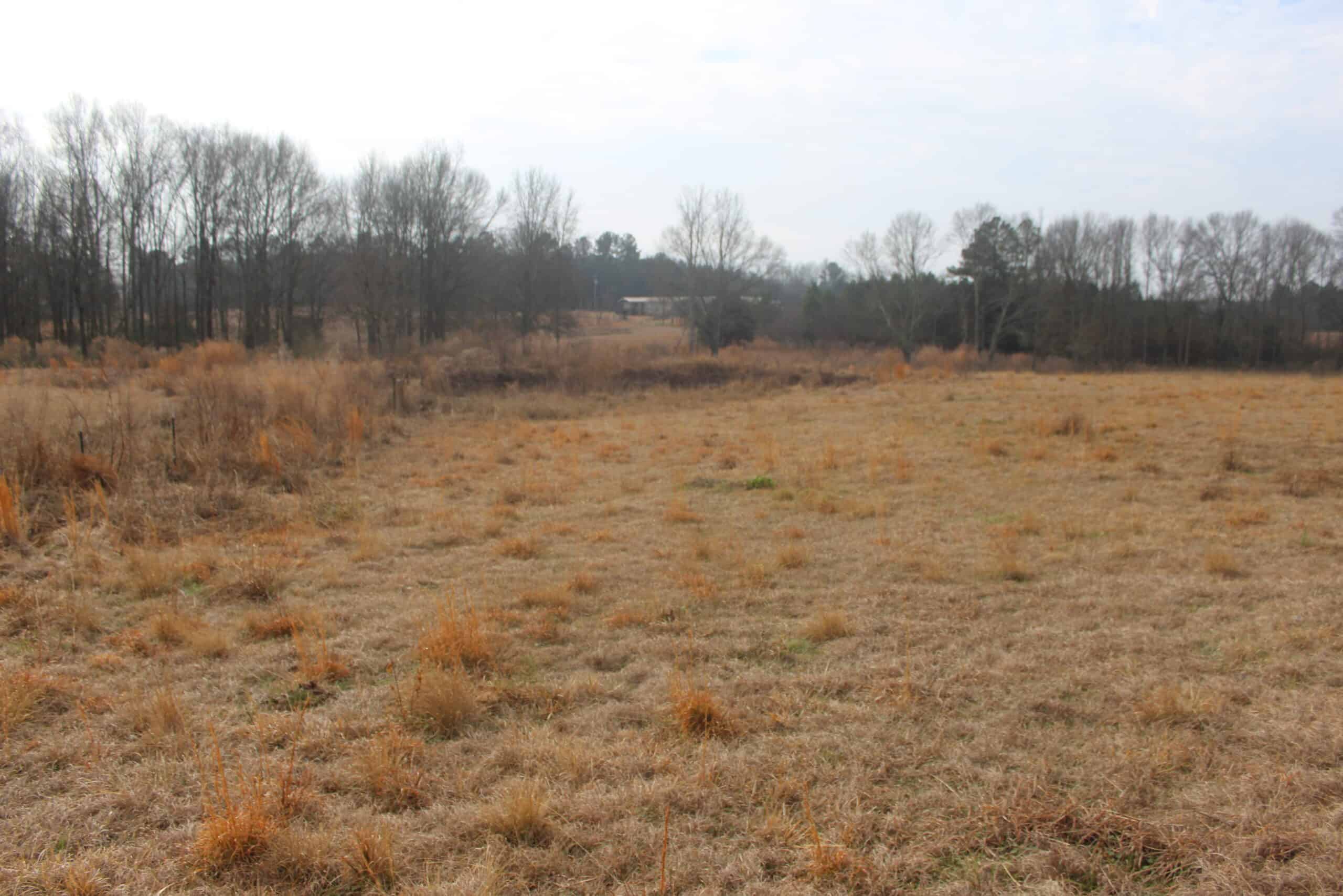 15-Acre Farm with Pond & Creek Frontage in Southeast Lincoln County, Mississippi