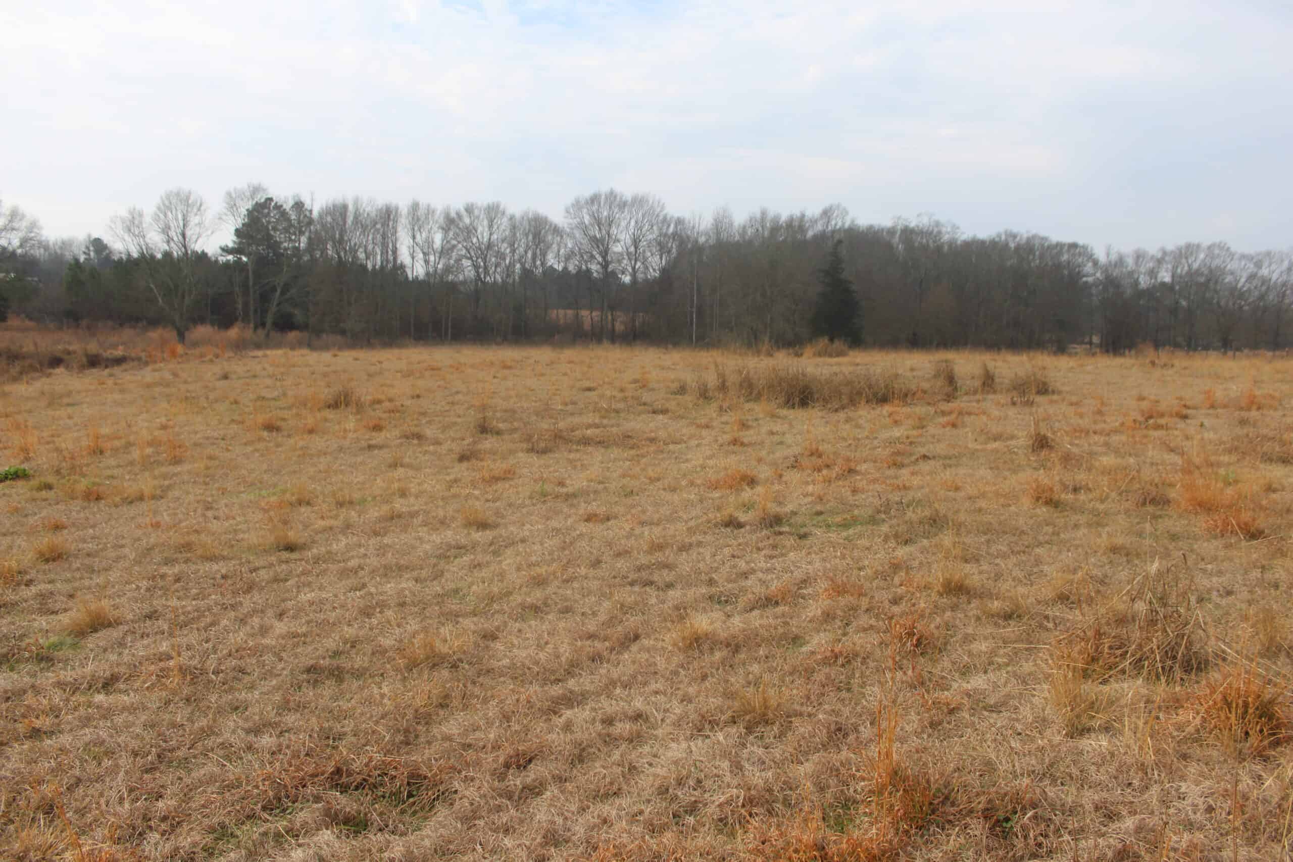 15-Acre Farm with Pond & Creek Frontage in Southeast Lincoln County, Mississippi