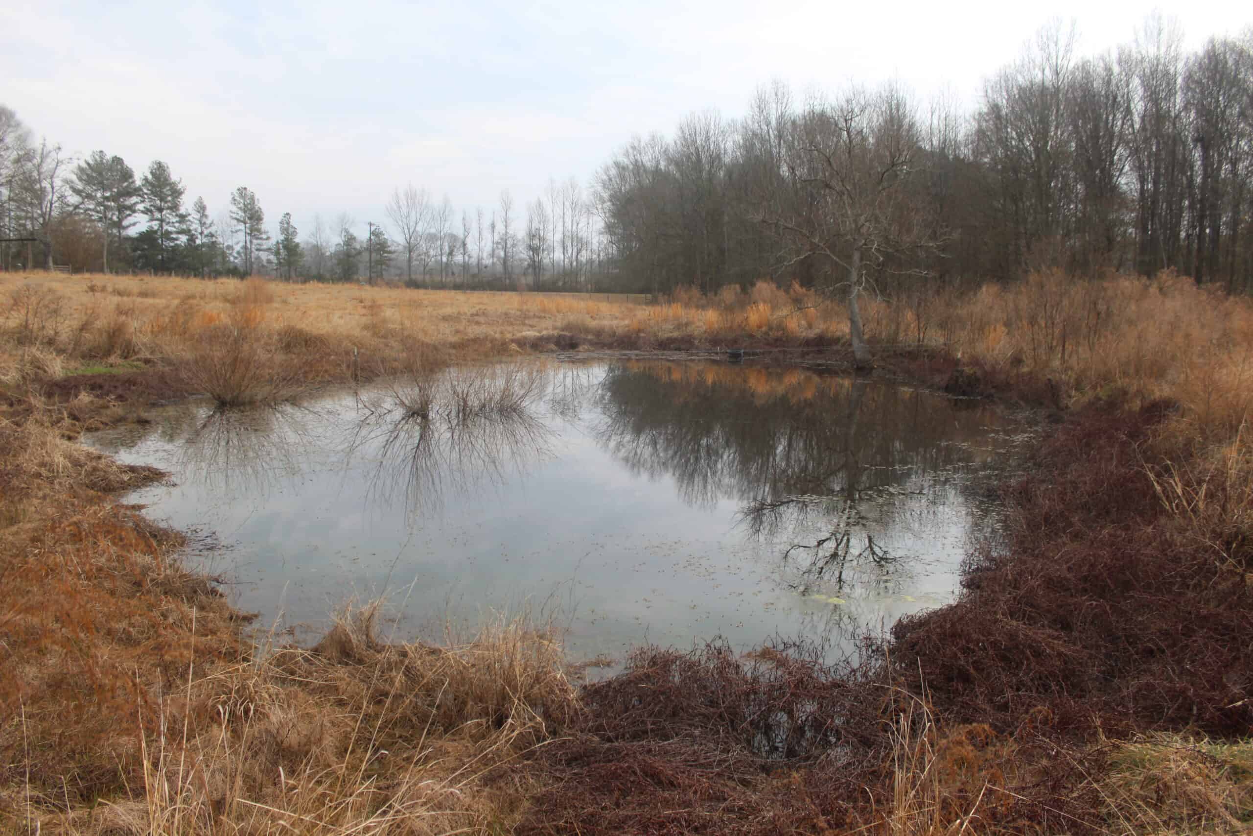 15-Acre Farm with Pond & Creek Frontage in Southeast Lincoln County, Mississippi