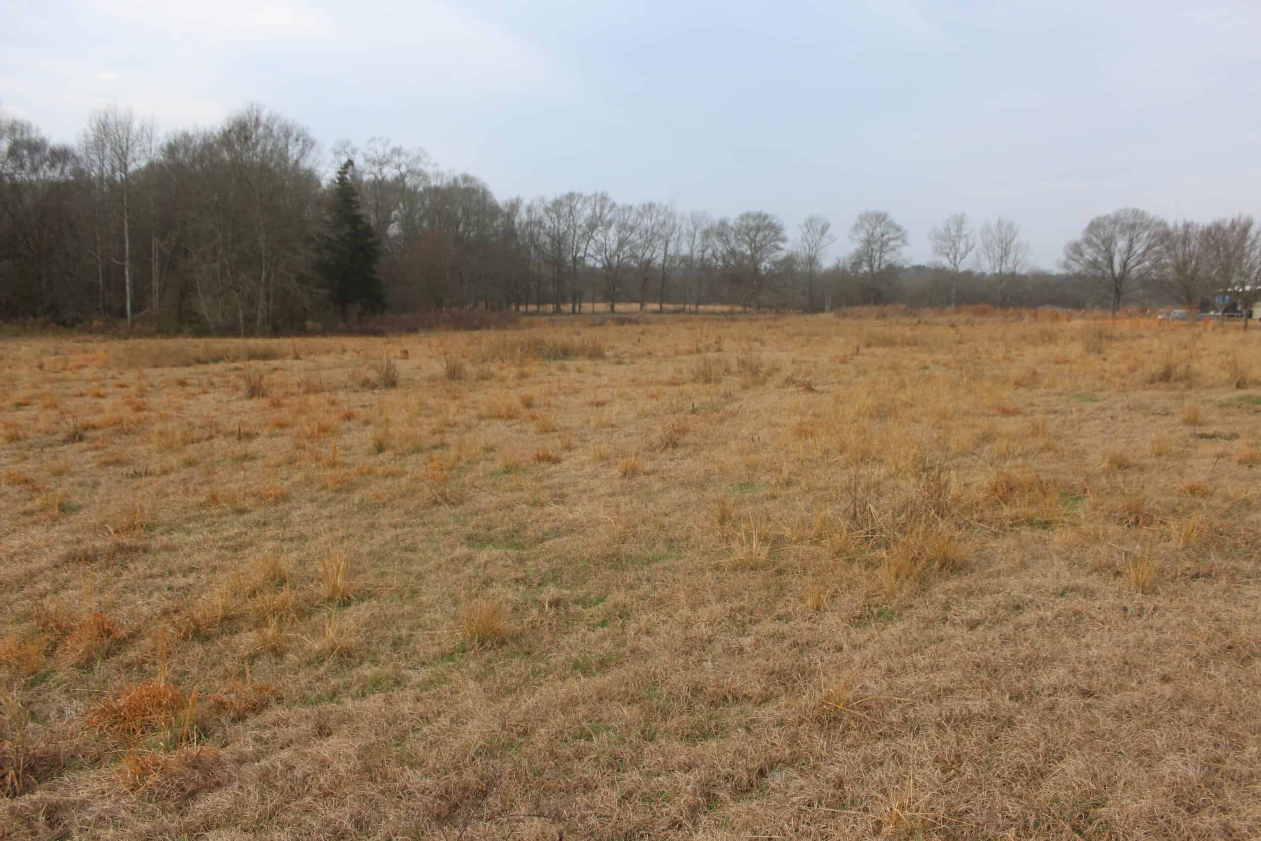 15-Acre Farm with Pond & Creek Frontage in Southeast Lincoln County, Mississippi