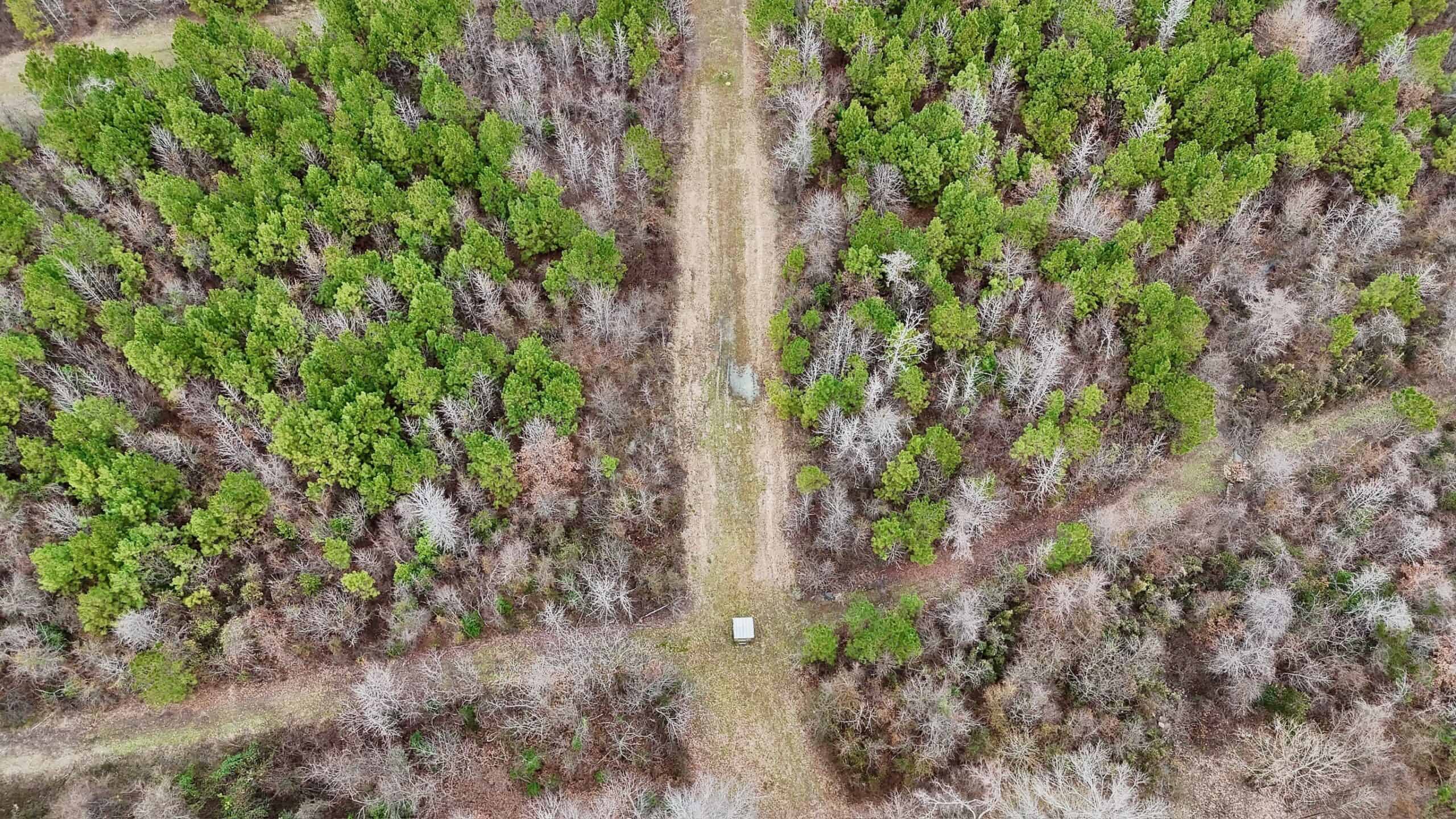 Hunting Property with a Camp and a Great Homesite