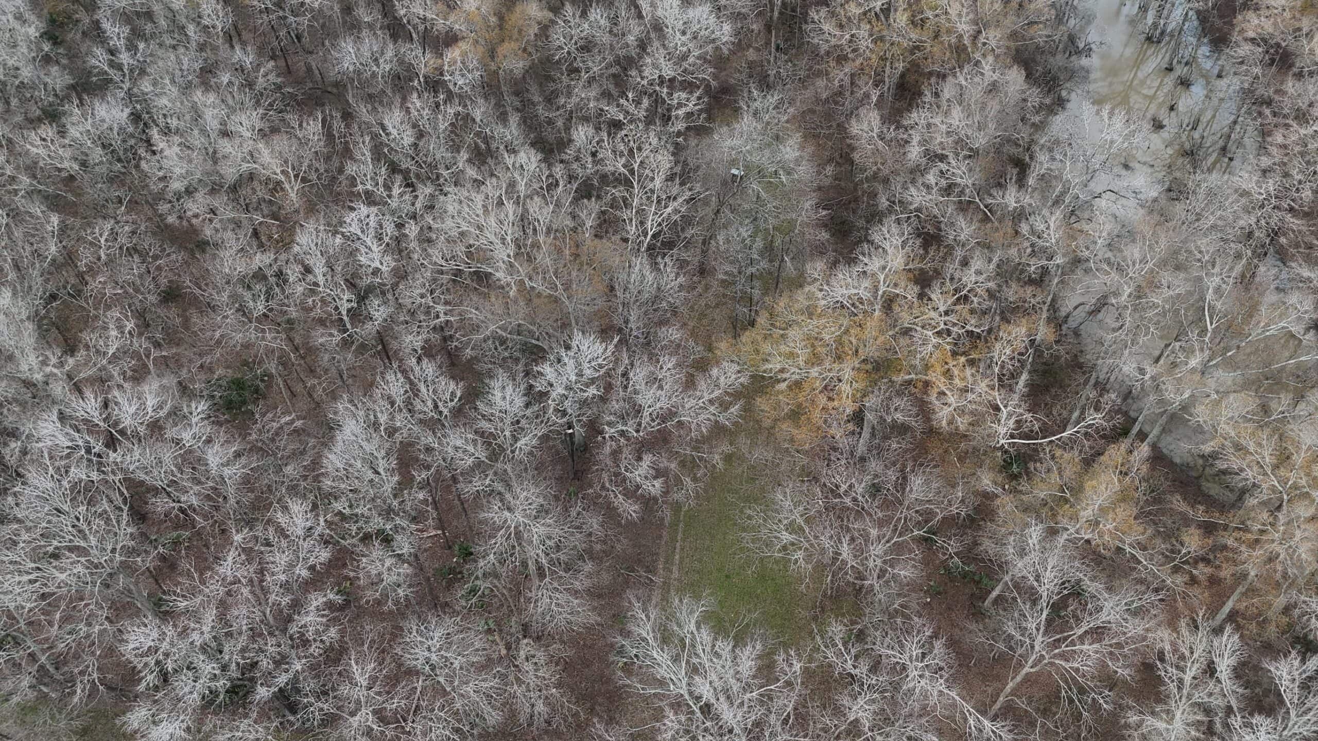 LA Delta Duck and Deer Hunting Property with a Camp