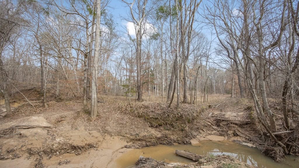 70 Acres Hunting Land Bordering Homochitto National Forest