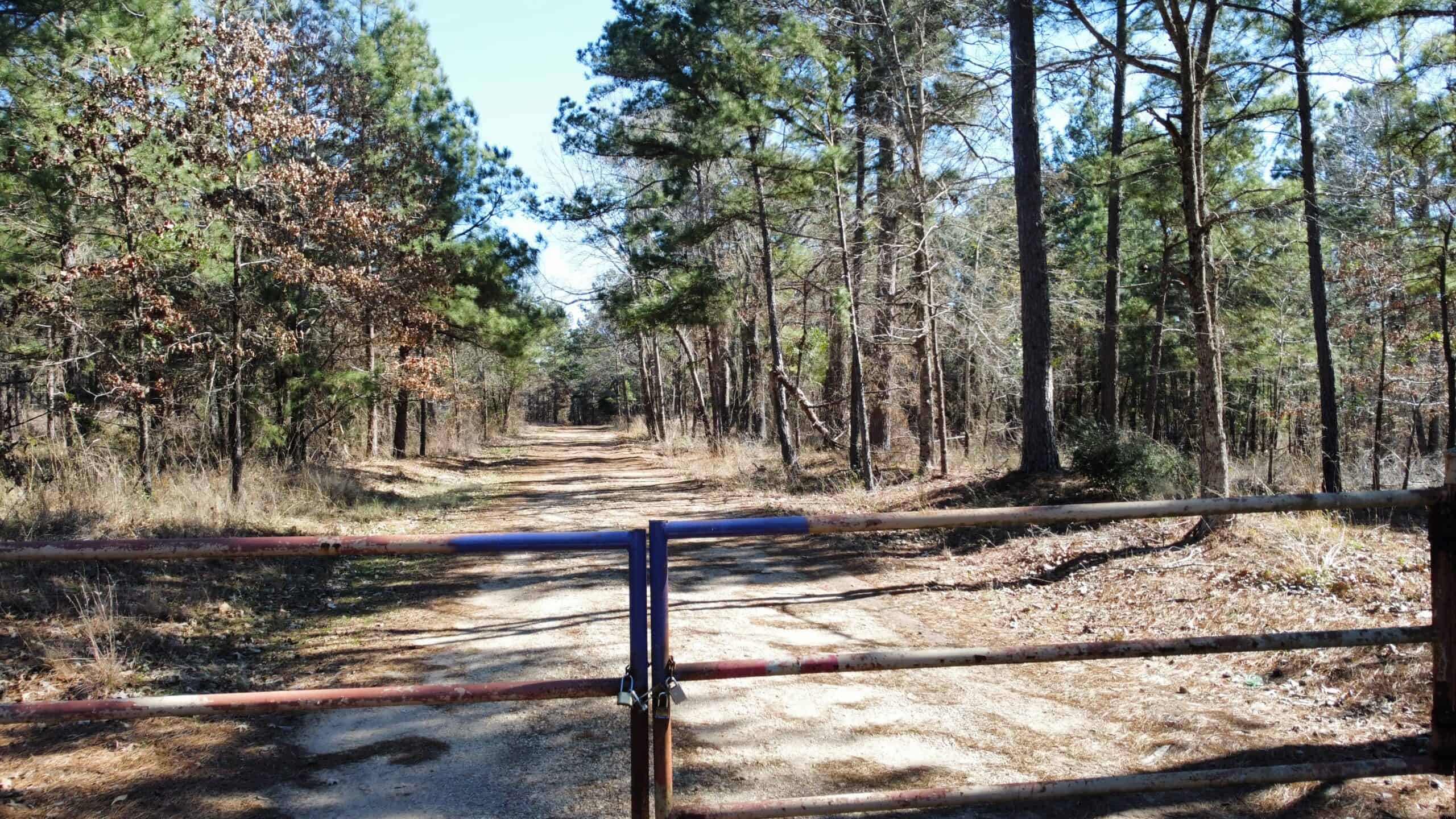 East TX Hunting Land Near Overton TX Rusk County