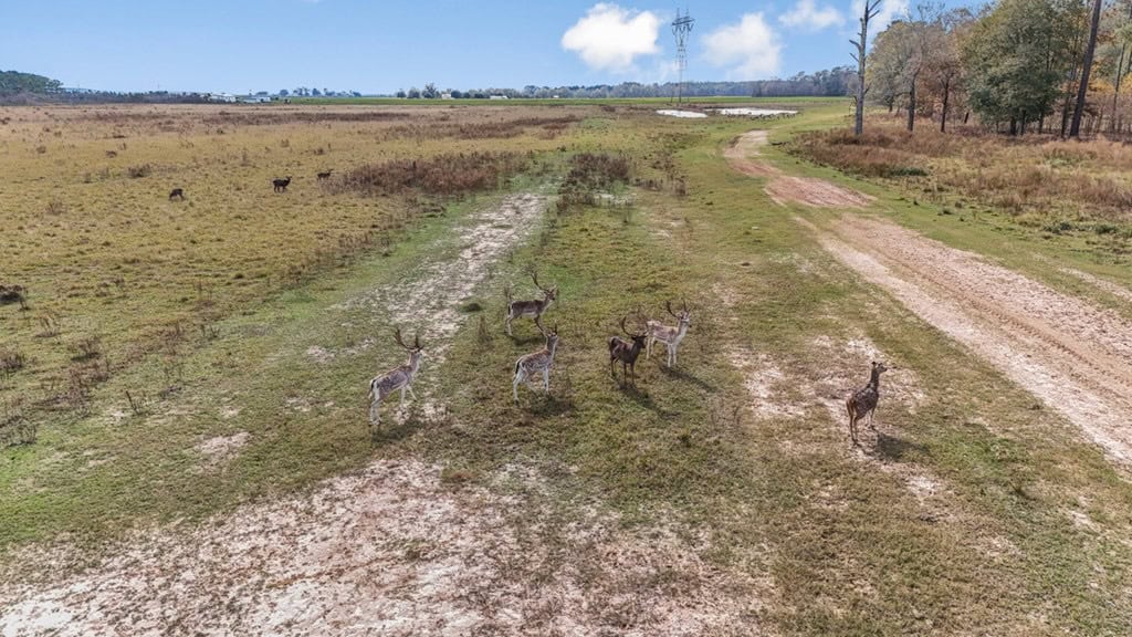 High Fence Hunting, 3 Lodges, 6 Cabins, Acadia Parish, LA
