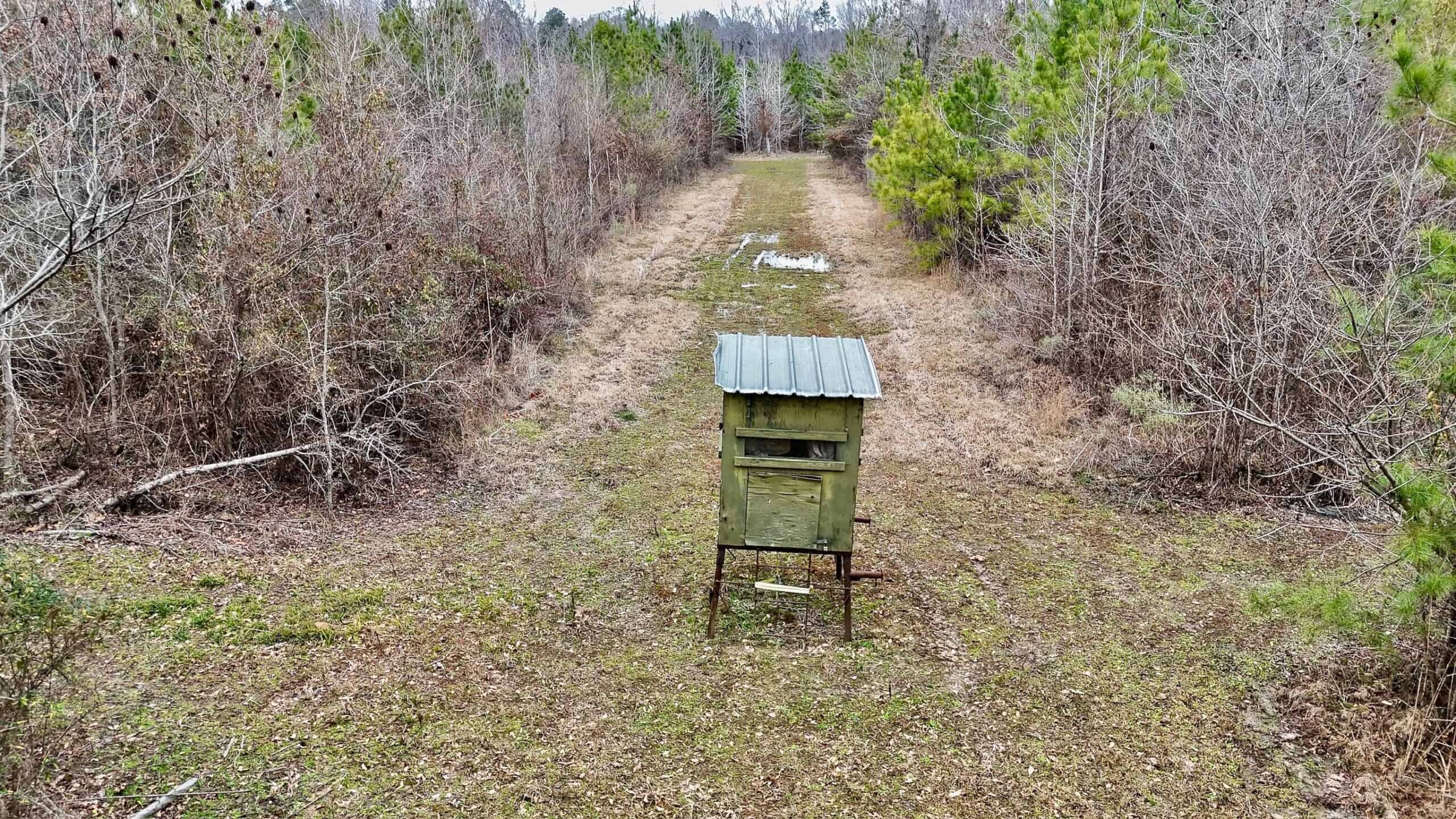 Hunting Property with a Camp and a Great Homesite
