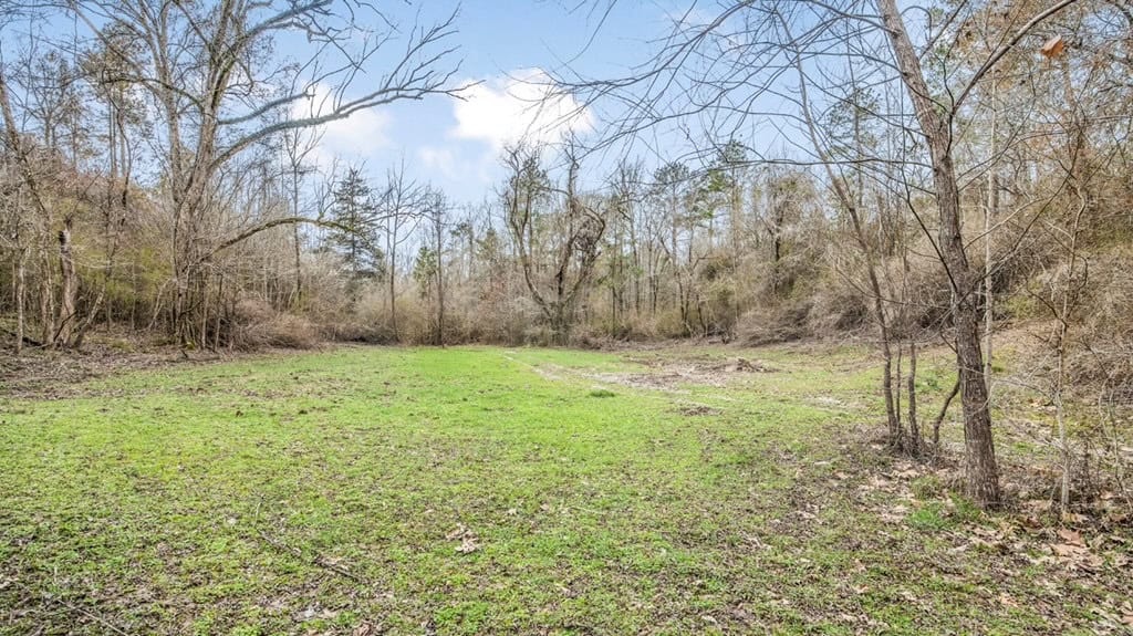 50 Acres TurnKey Hunting Camp SW Wilkinson County, MS